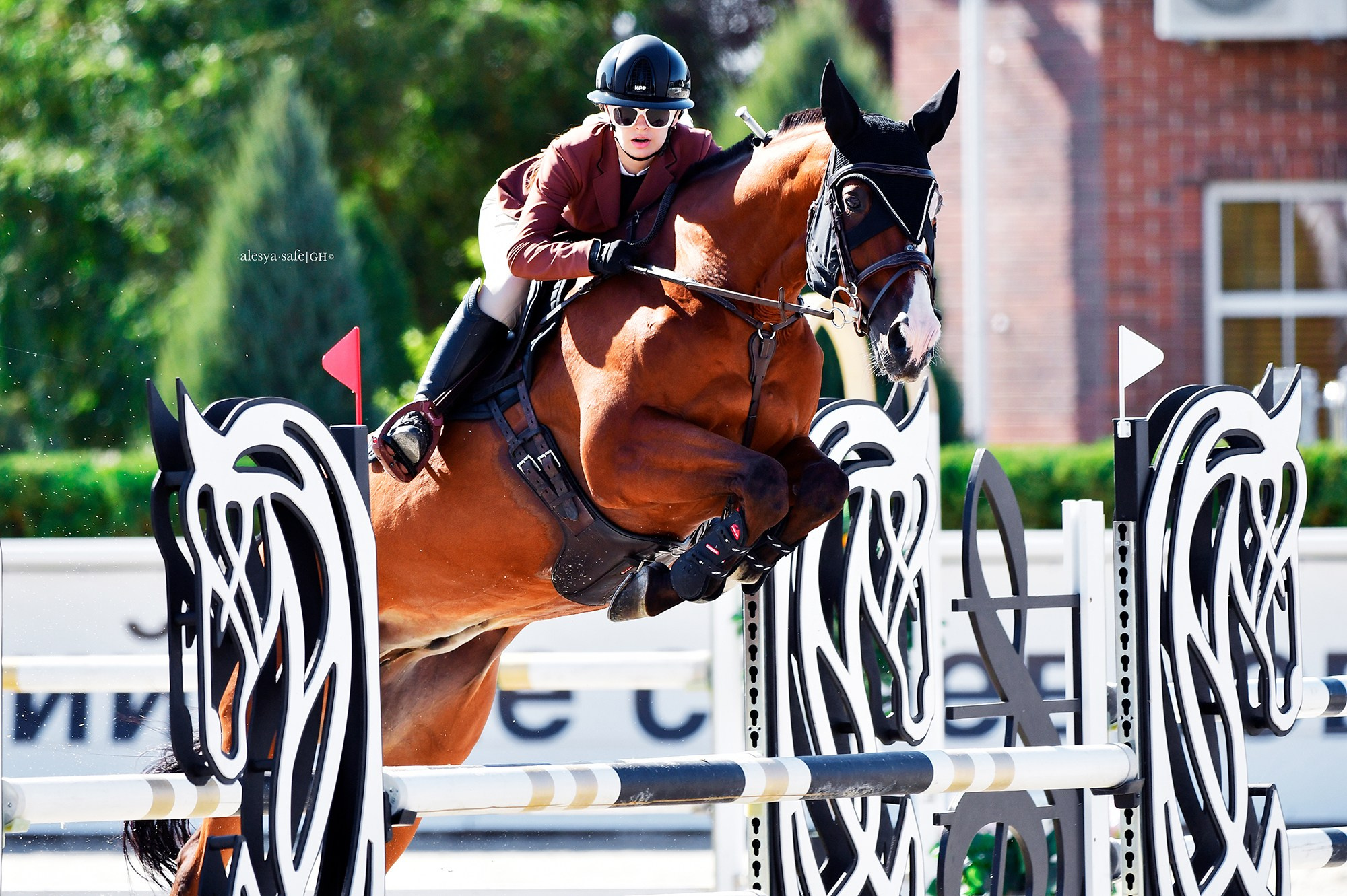 Голден. Конный фотограф Alesya Safe