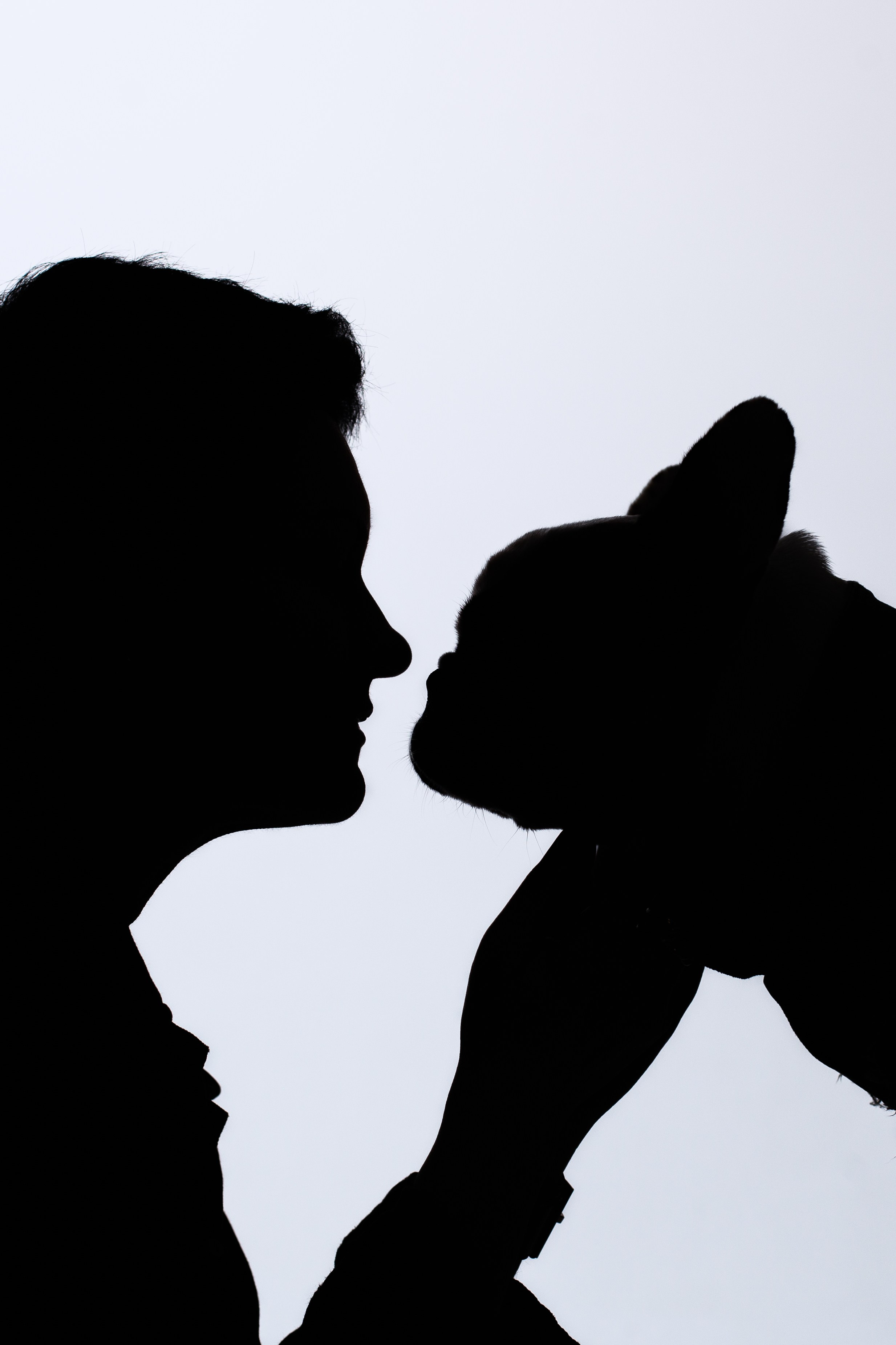 Бульвстреча 2025. Фотограф-анималист Татьяна Степанова