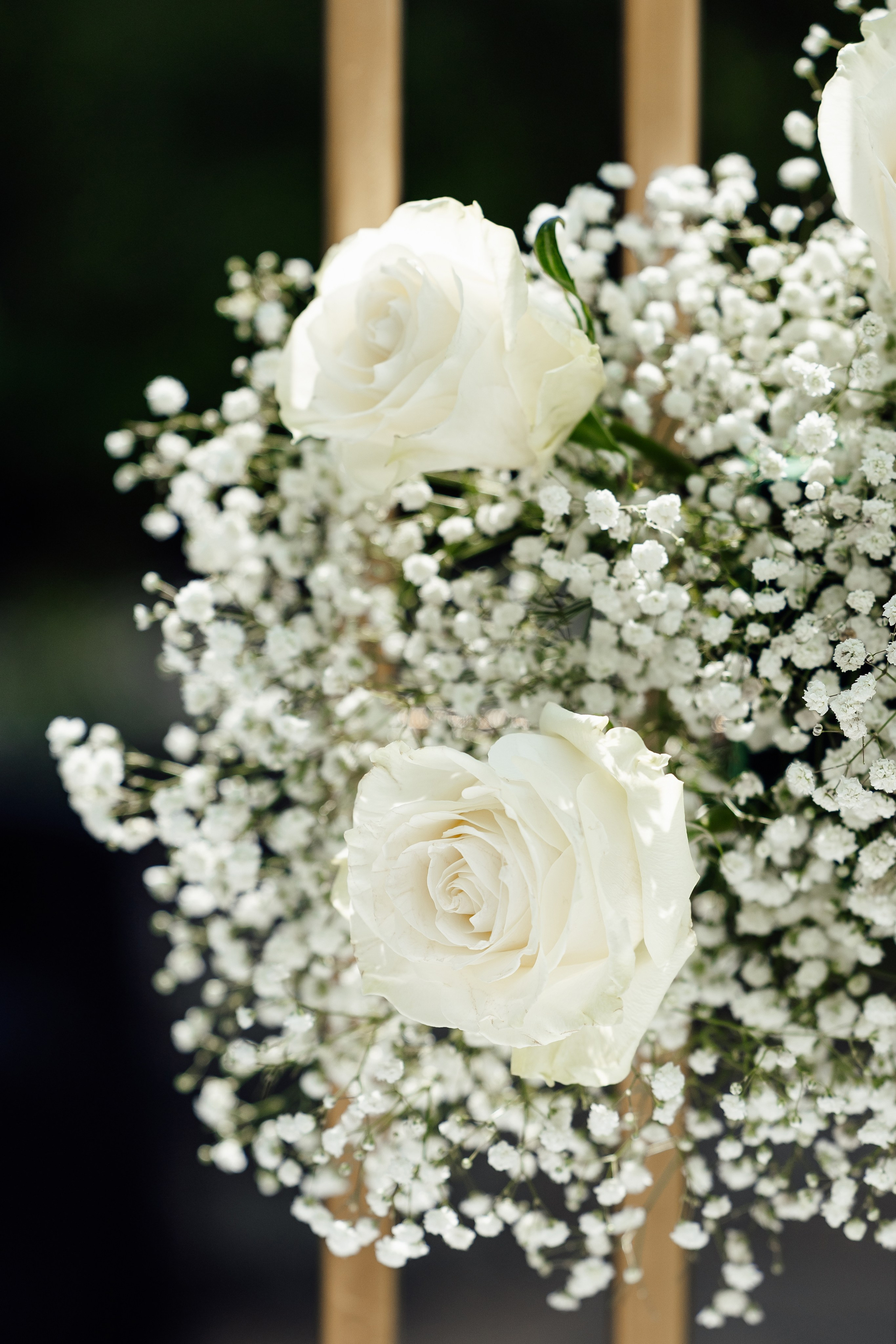 Владислав и Алина. Фотограф Екатерина Горковенко, Абакан