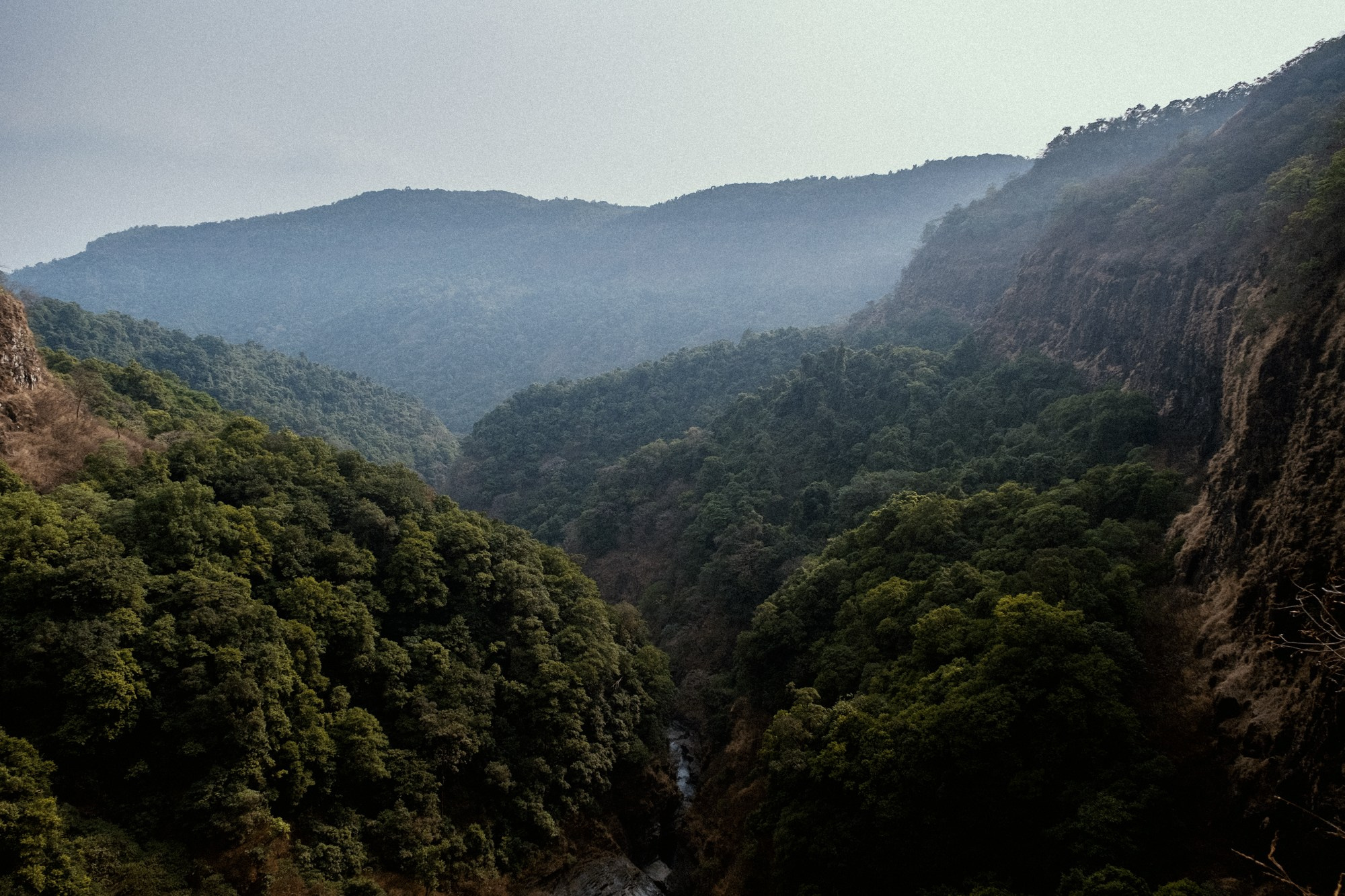 INDIA. Фотограф Дмитрий Олрайт | Калуга, Россия