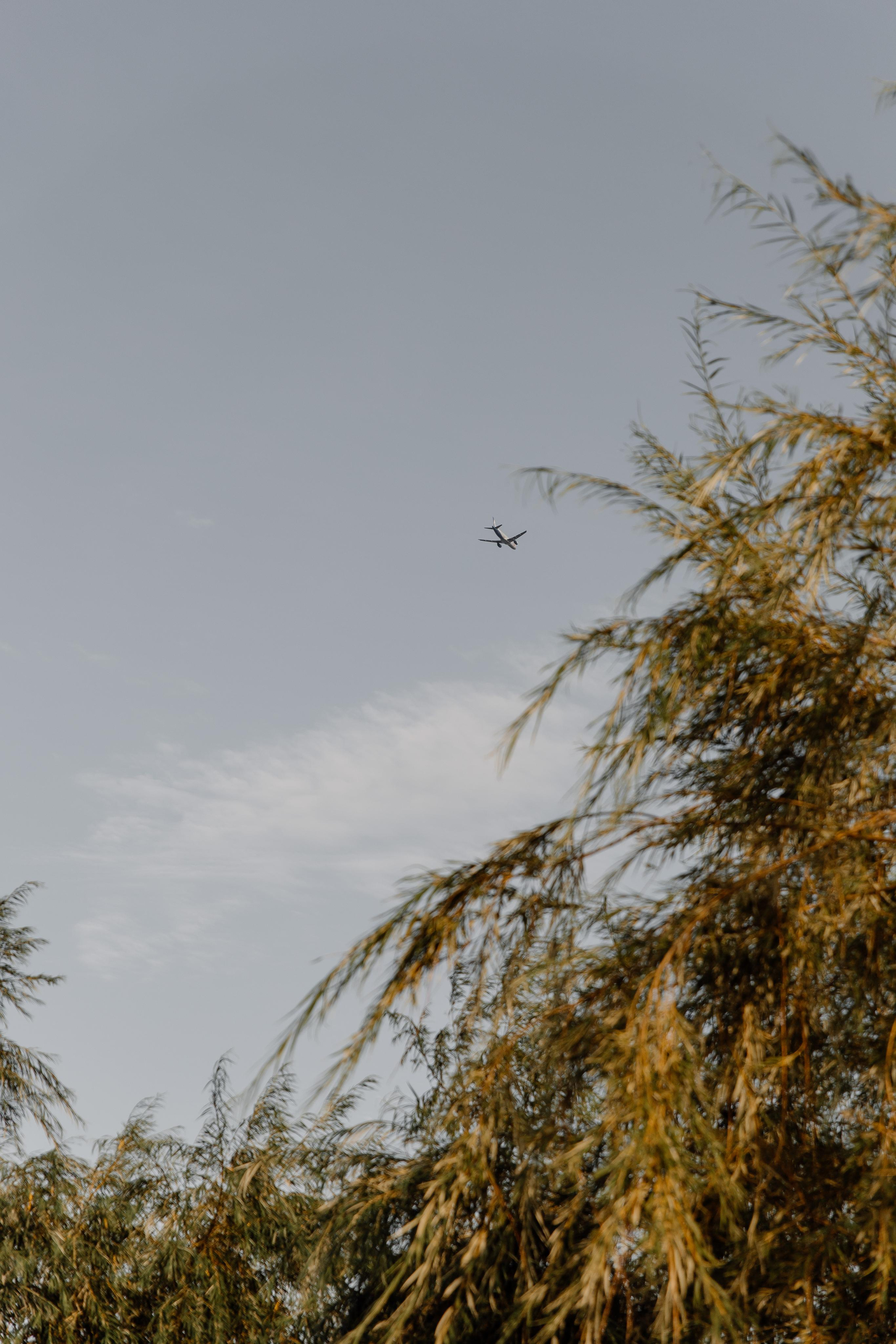 Макс💍Вика. Свадебный фотограф в Санкт-Петербурге Евгений Назаров