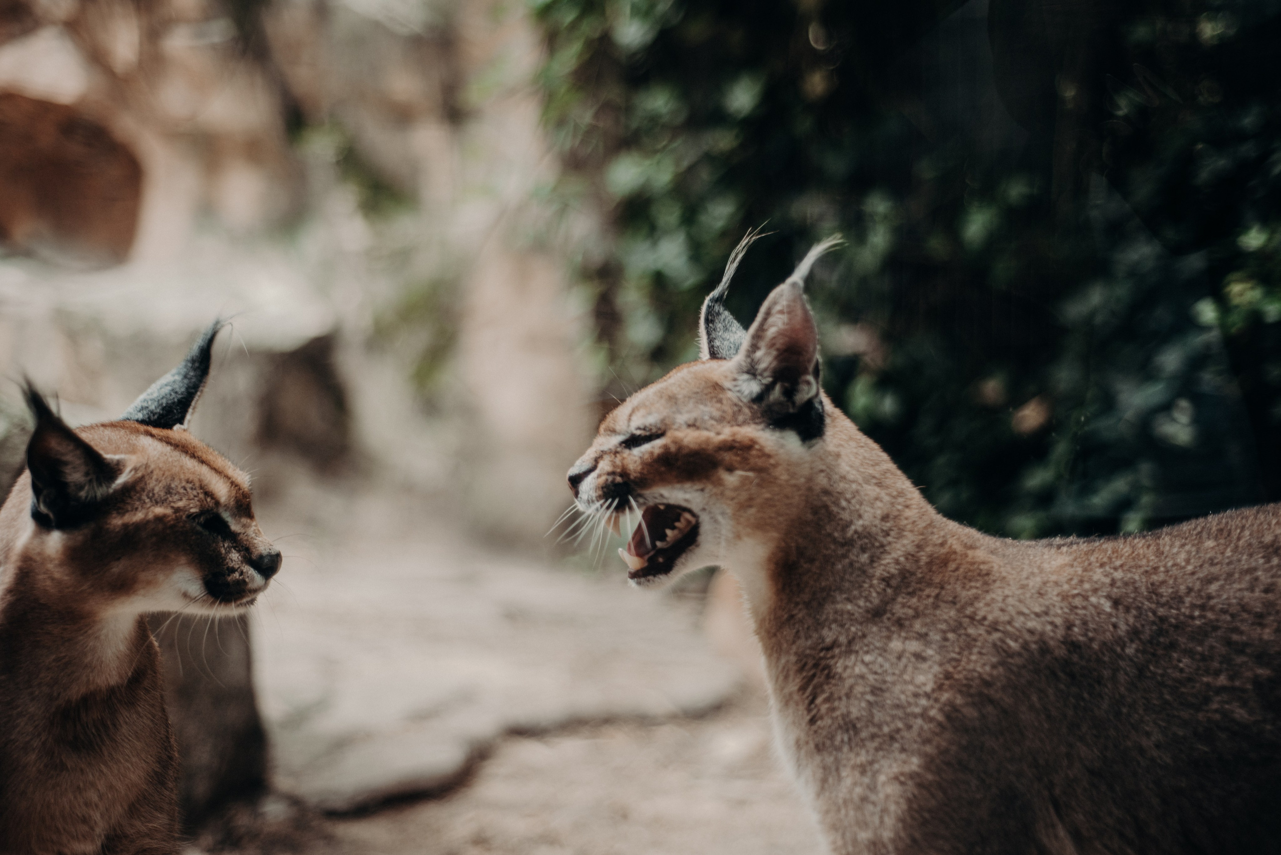 Рекламный фотограф из Гуанчжоу: вдохновение в улицах Шанхая. Коммерческий и предметный фотограф в Гуанчжоу Коваленко Александр