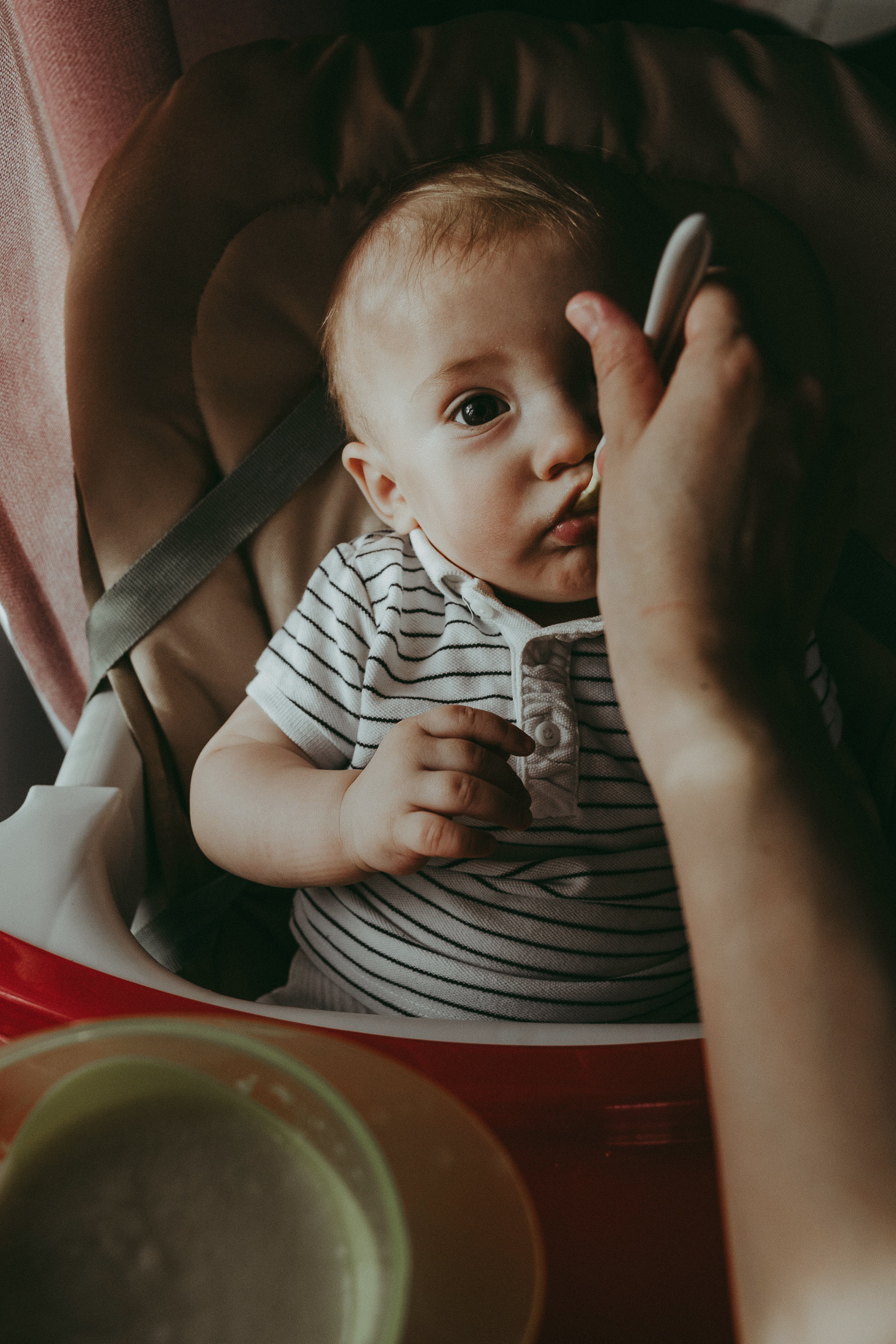 Семья Девляшовых. Свадебный и семейный фотограф в Абакане Василевский Алексей