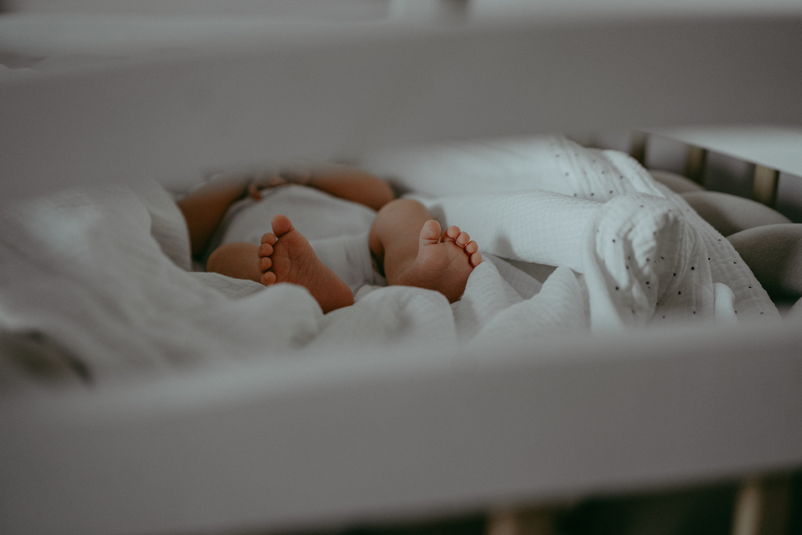 Семья Девляшовых. Свадебный и семейный фотограф в Абакане Василевский Алексей