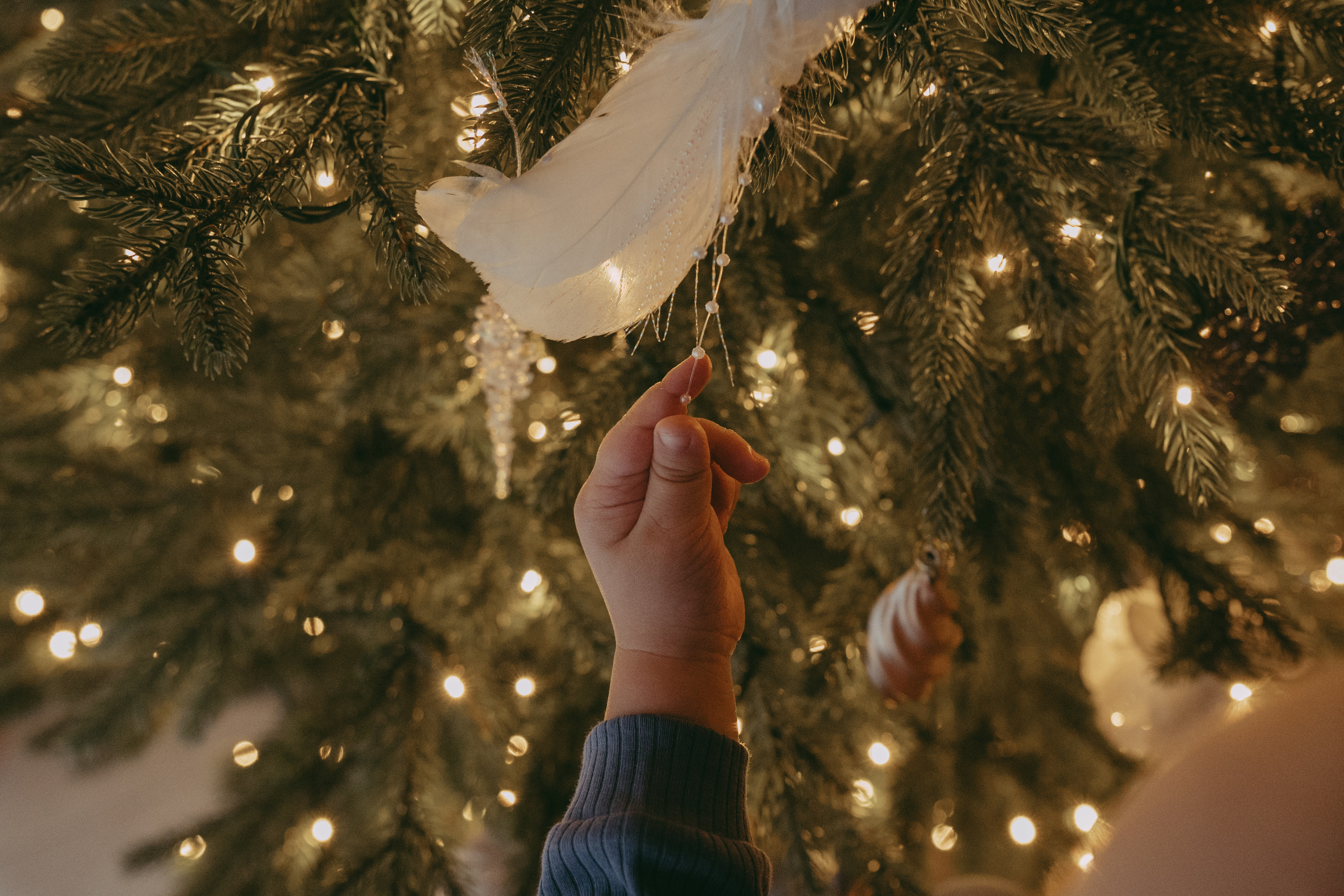 Семья Девляшовых. Свадебный и семейный фотограф в Абакане Василевский Алексей