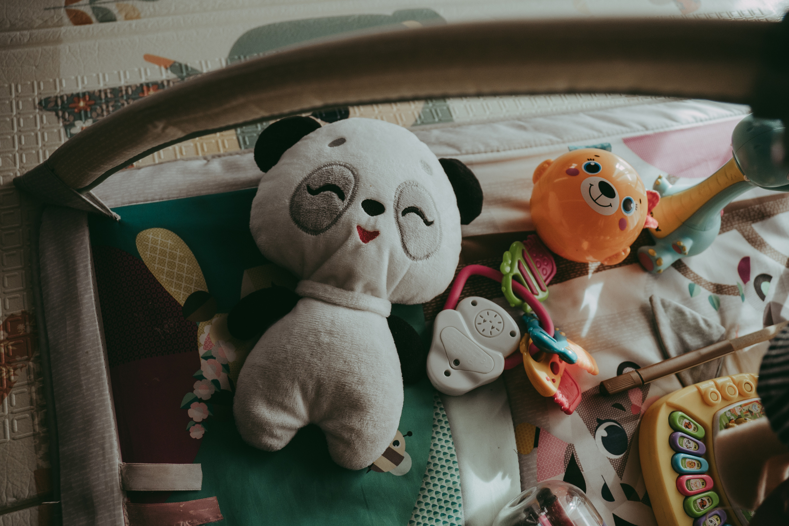 Семья Девляшовых. Свадебный и семейный фотограф в Абакане Василевский Алексей