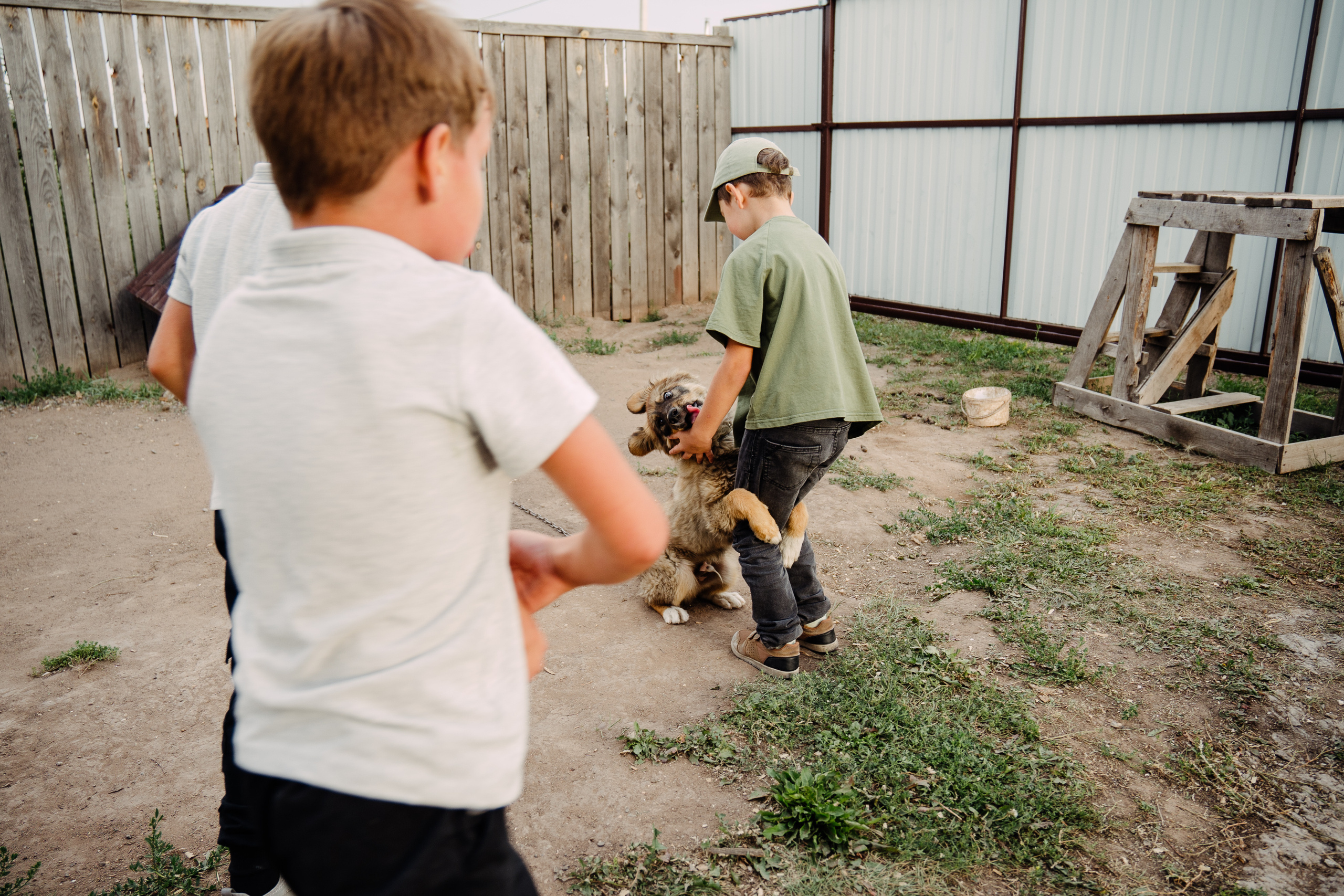 Семья Девляшовых. Свадебный и семейный фотограф в Абакане Василевский Алексей
