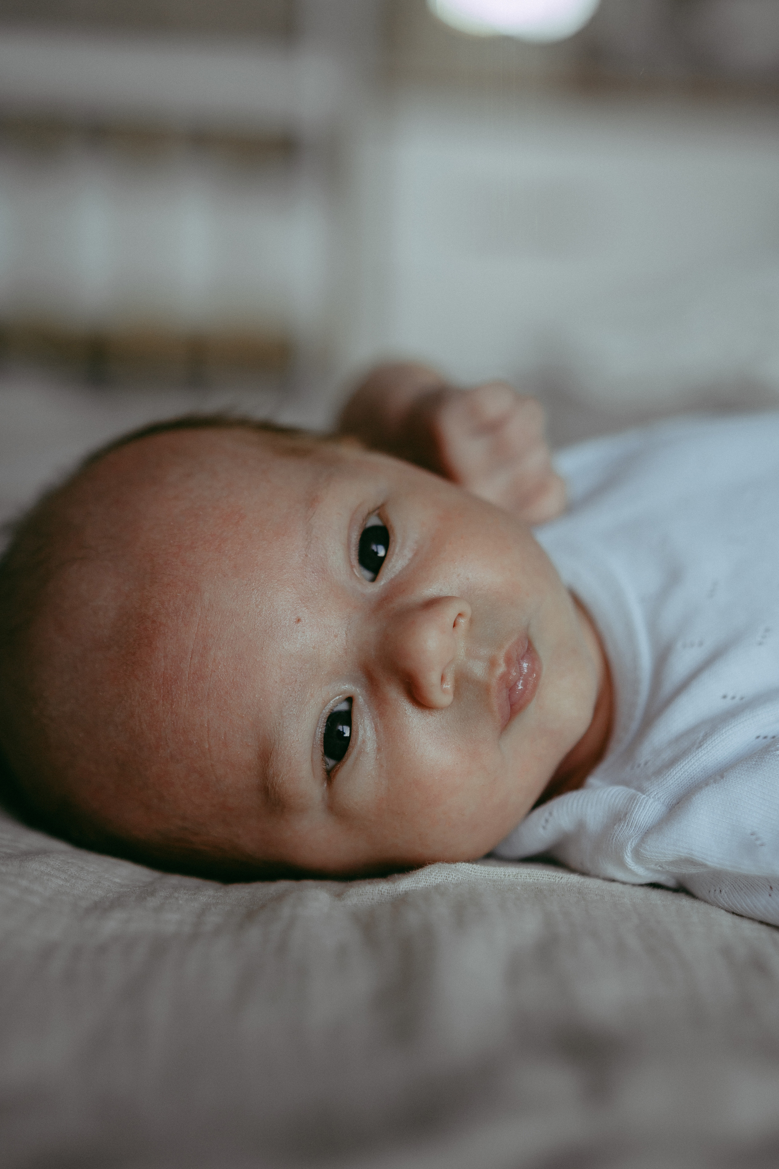 Семья Девляшовых. Свадебный и семейный фотограф в Абакане Василевский Алексей