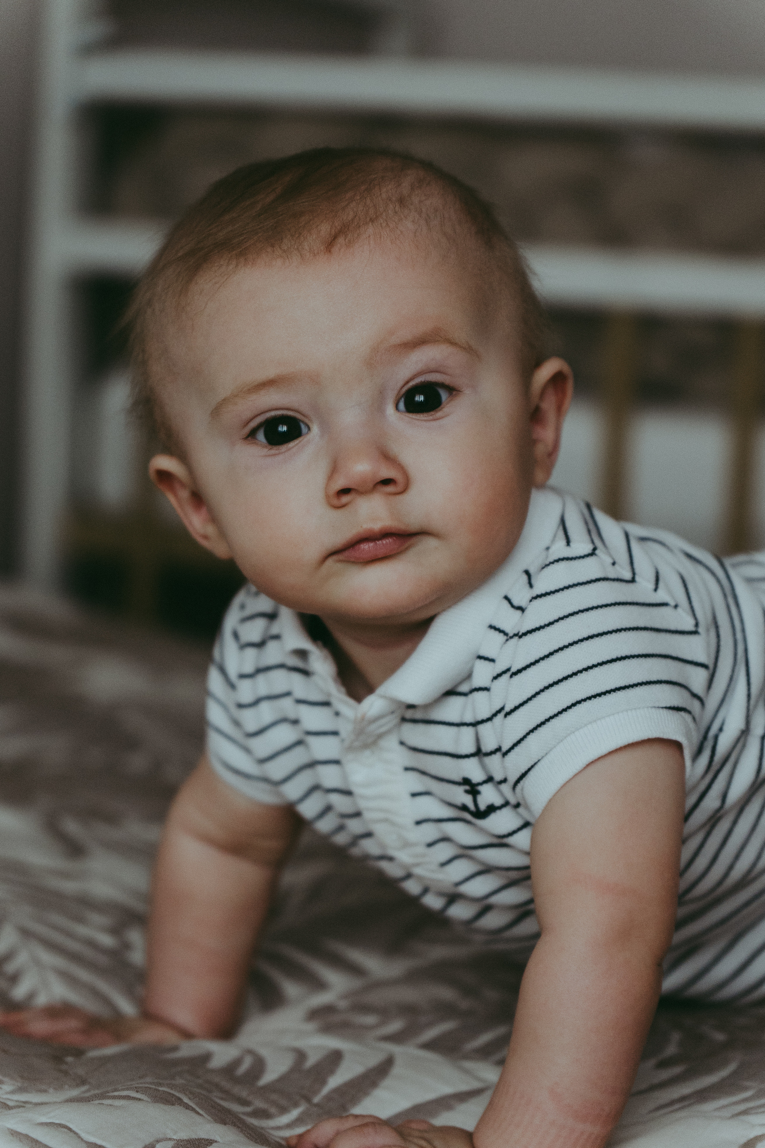 Семья Девляшовых. Свадебный и семейный фотограф в Абакане Василевский Алексей