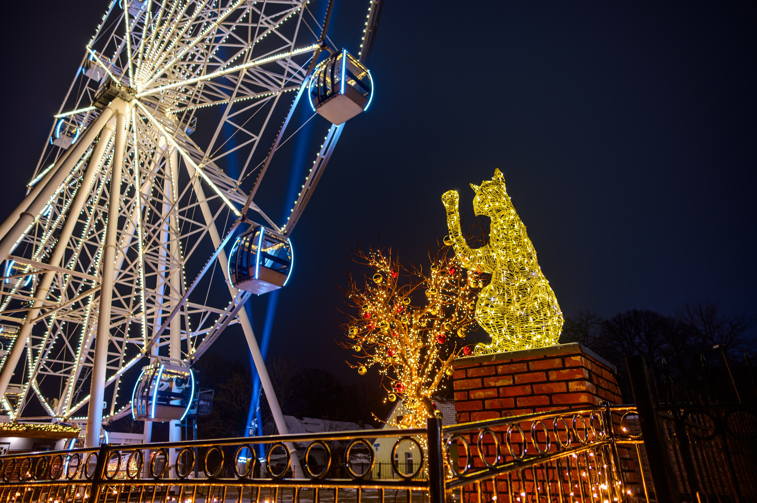 Зимняя Калининградская область. Фотосъемка и видеосъемка в Калининграде Liveemotion.pro