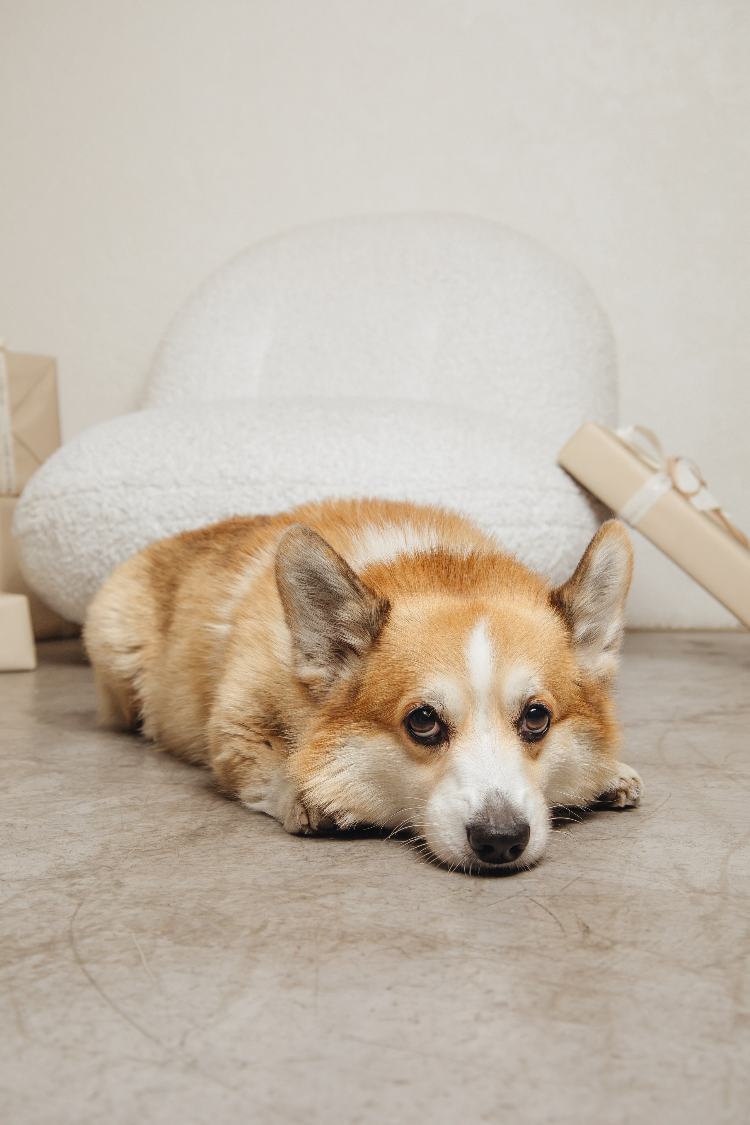 Норд и его семья