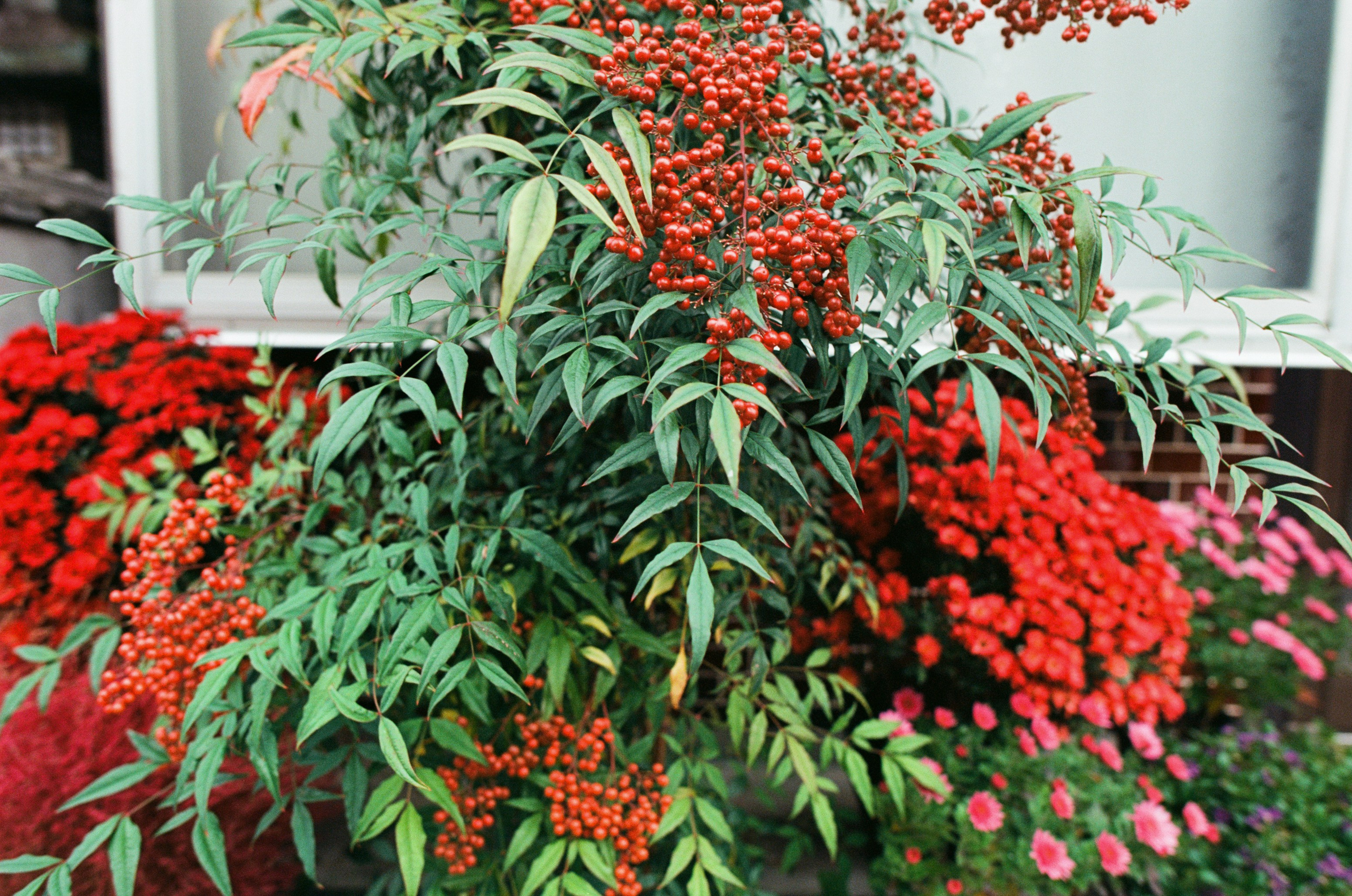 Out of noise // japan, takayama IV. EVER EXPOSED