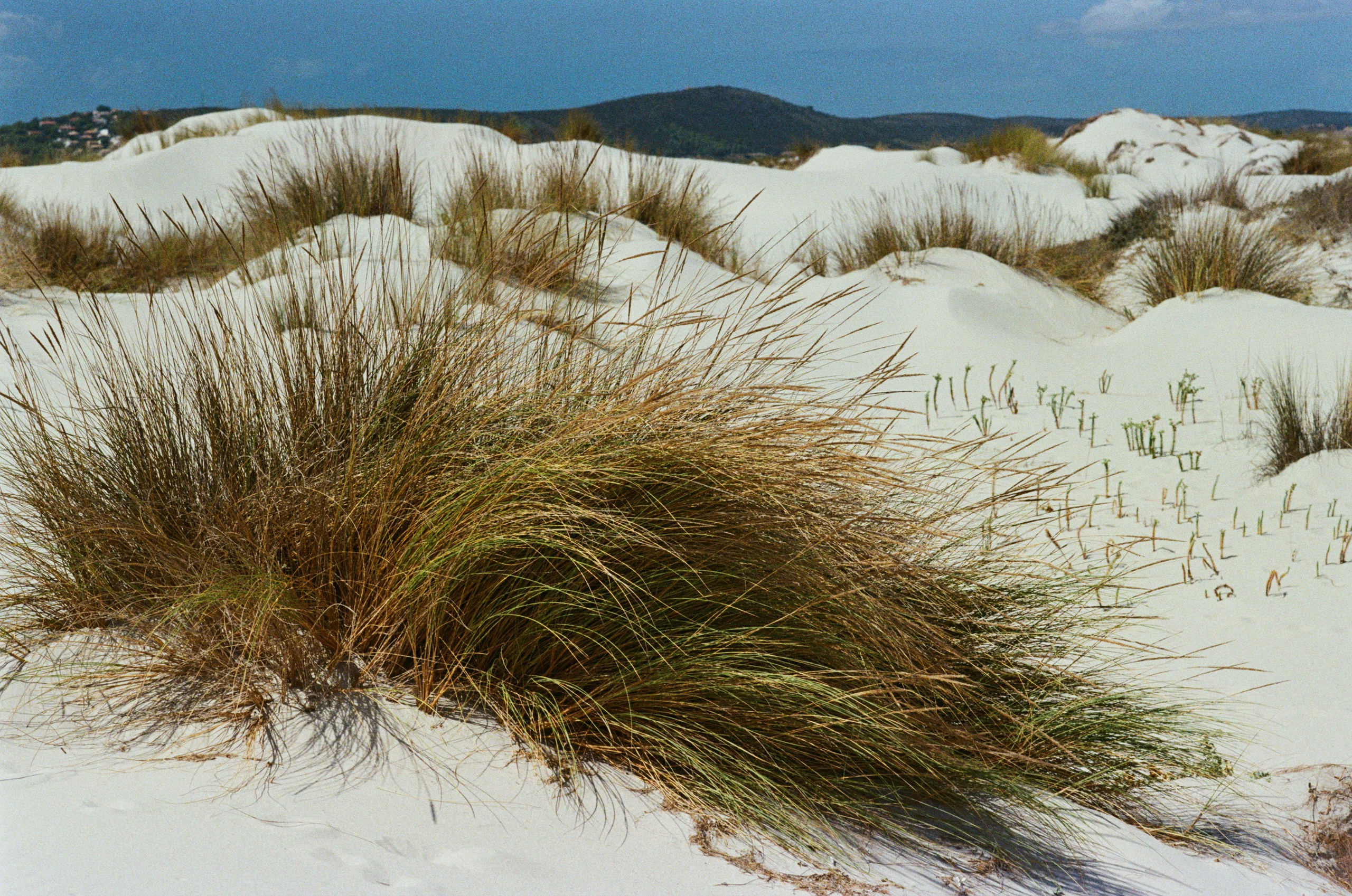 Coraline // sardinia, is arenas biancas. EVER EXPOSED