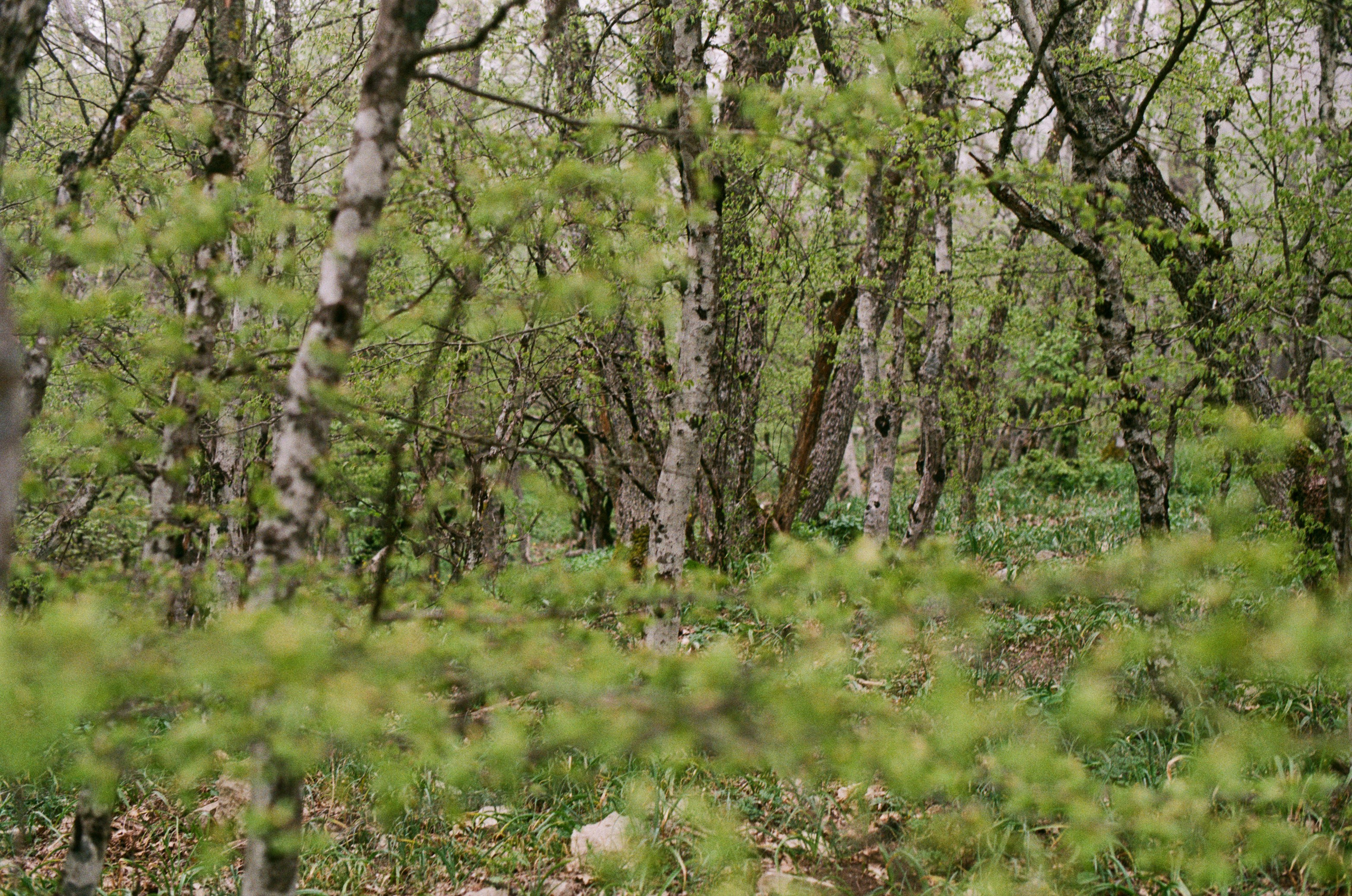 Follow you // ukraine, crimea III. EVER EXPOSED