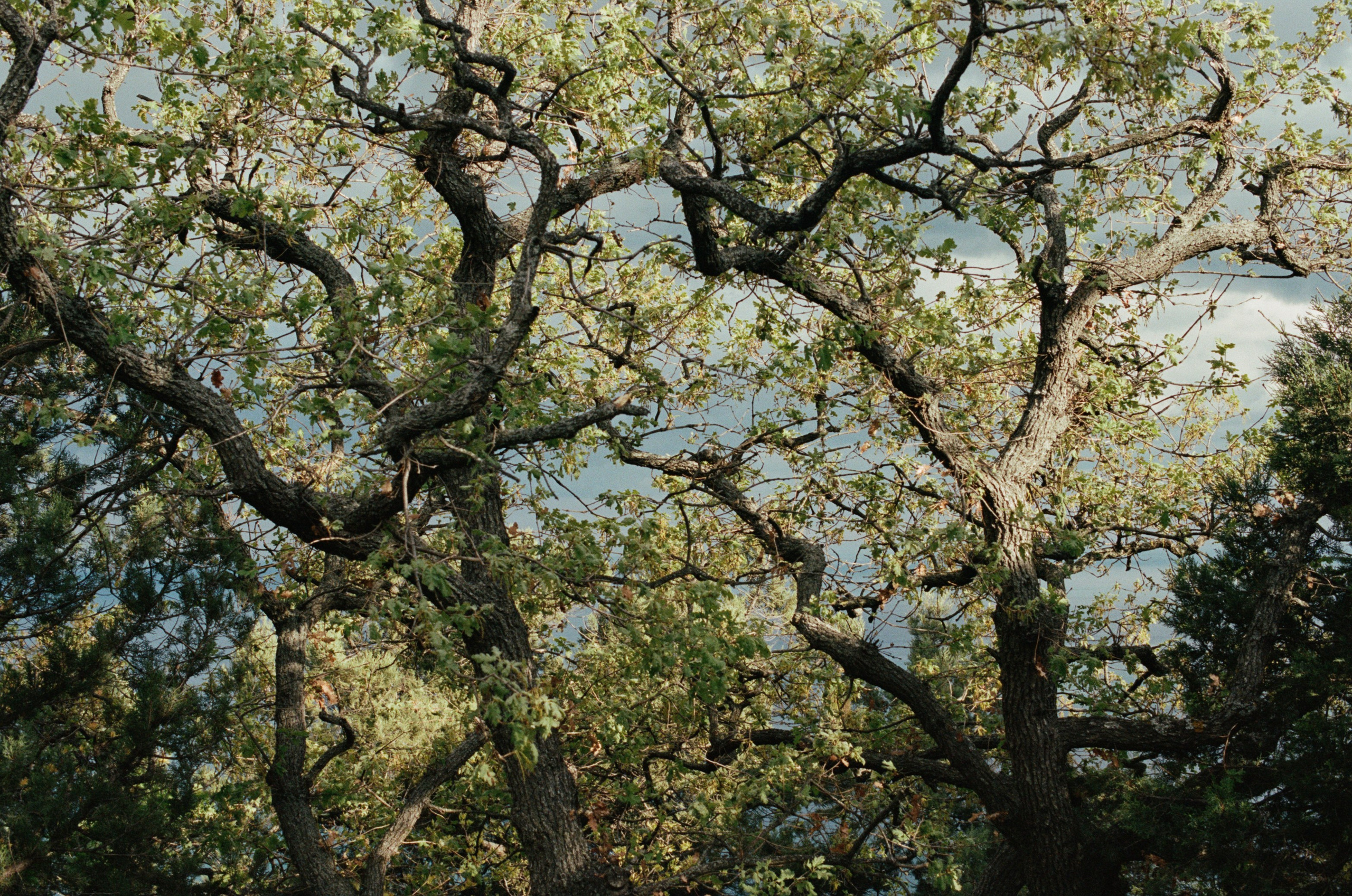 This time // ukraine, crimea VI. EVER EXPOSED