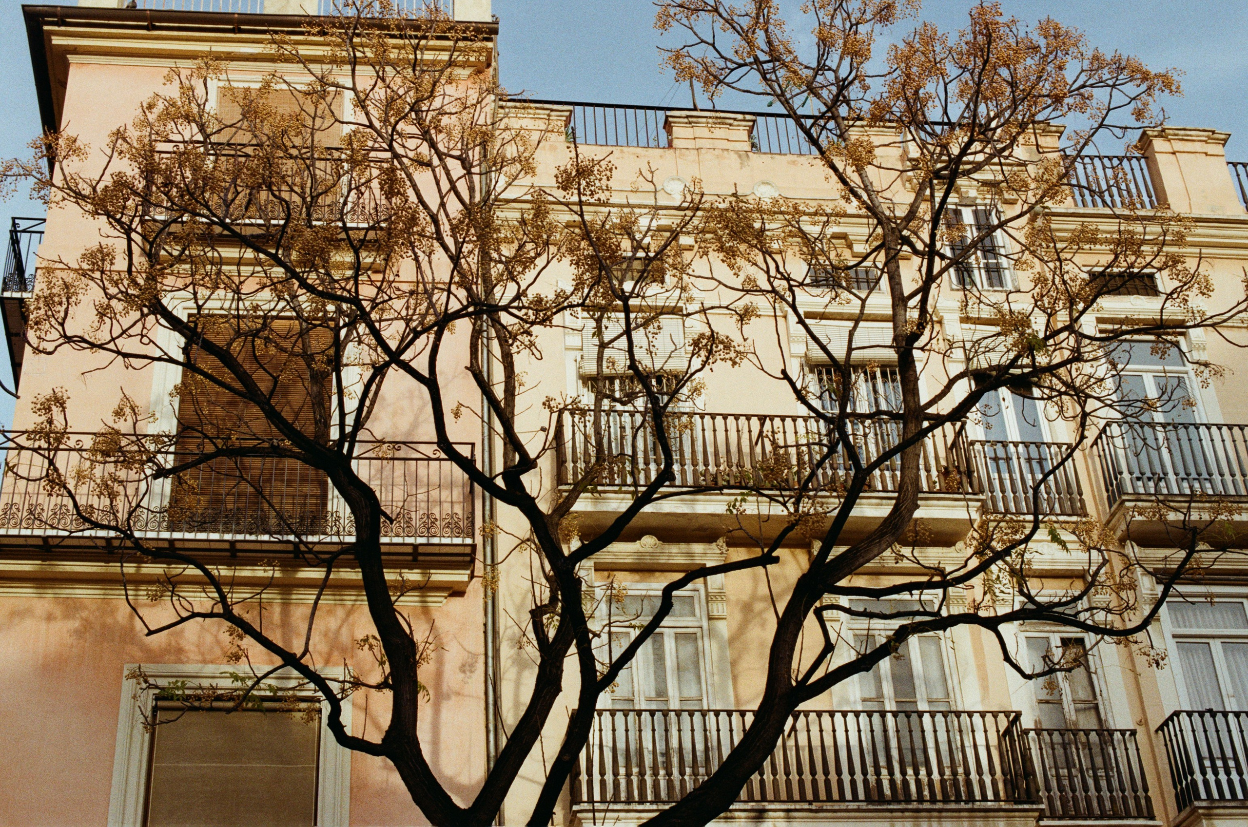 Spanish sahara // spain, valencia. EVER EXPOSED