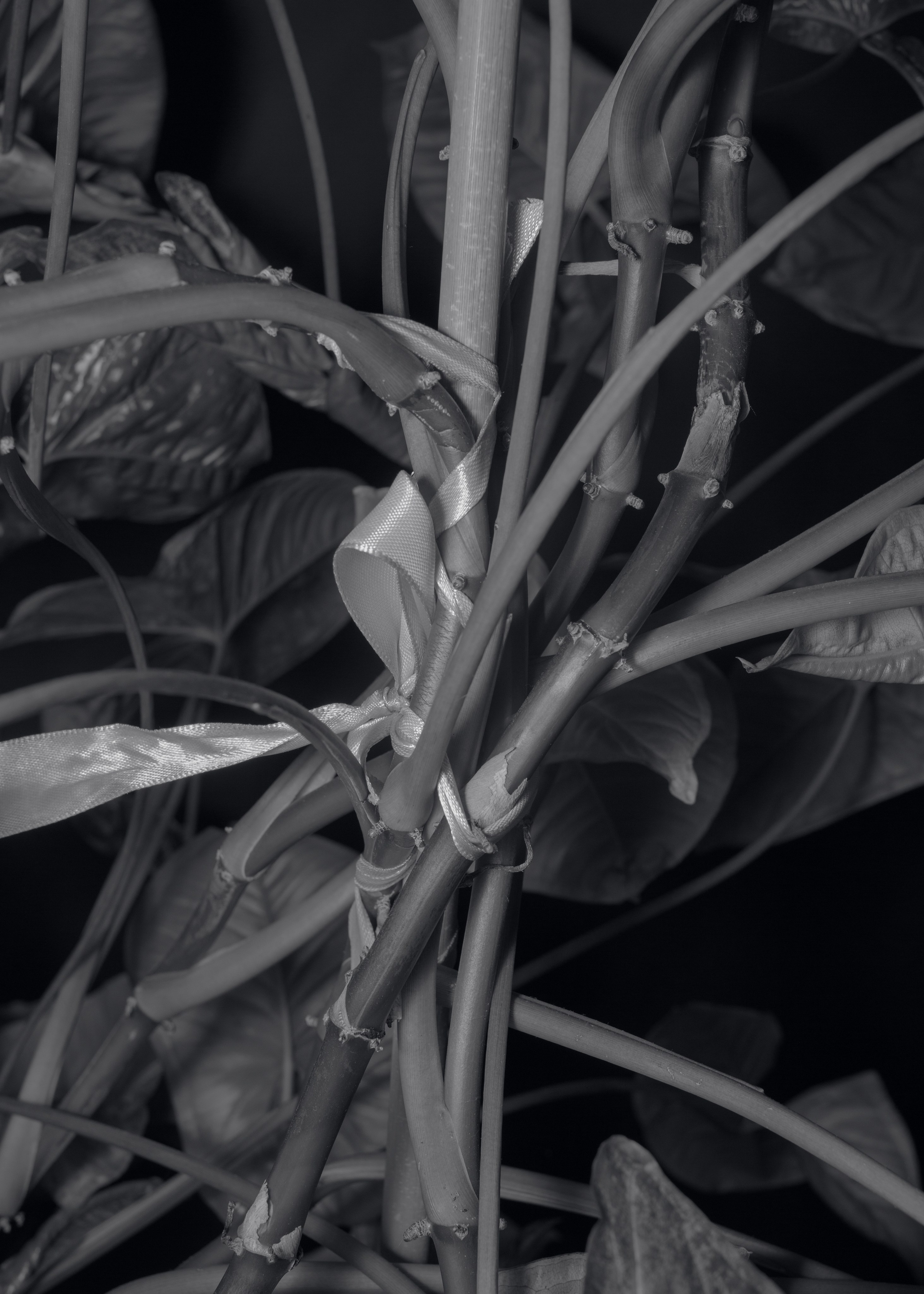 I’m Tired of Being Myself. Photographer Slava Kostylev