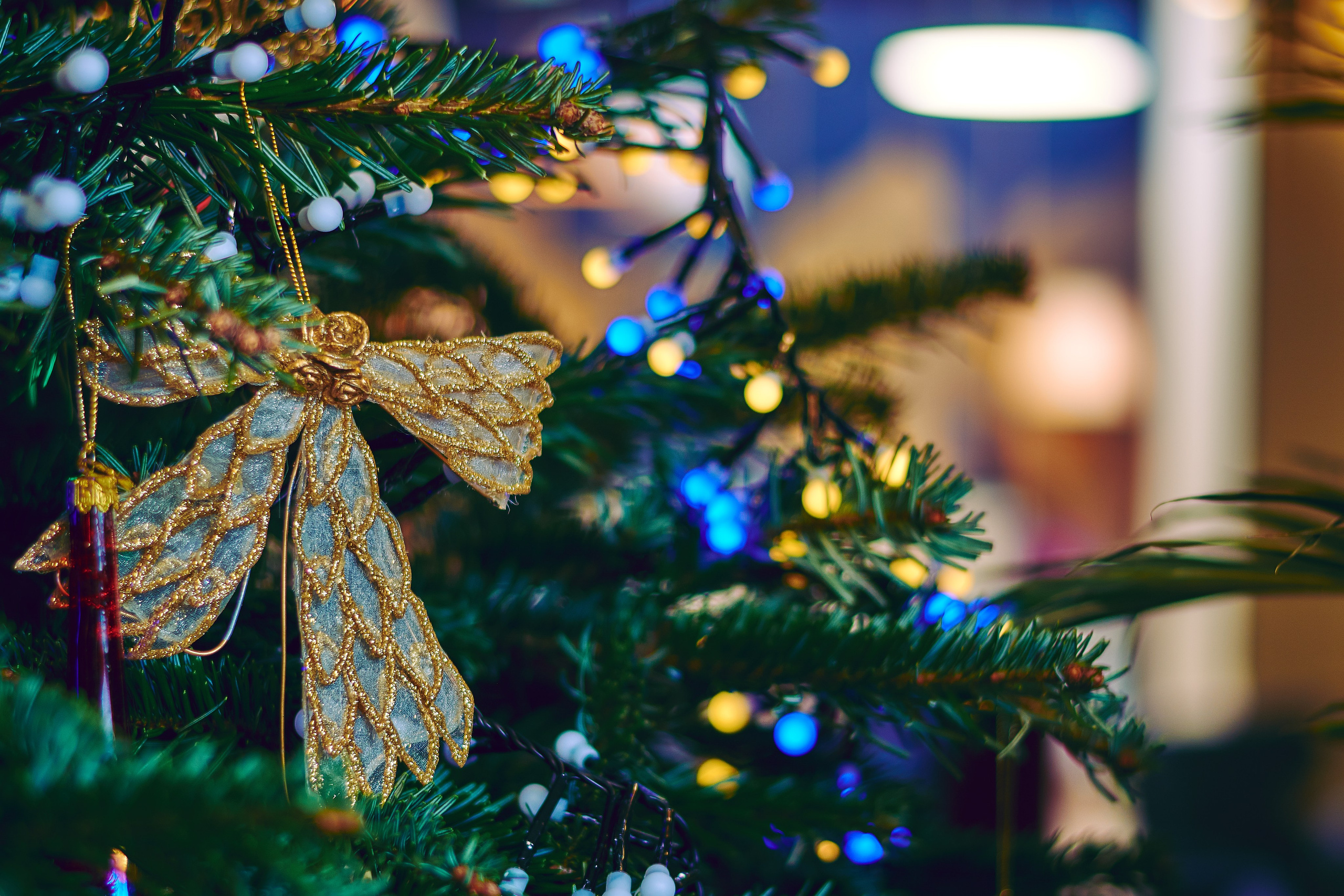 Ресторан. Запуск нового интерьера. Константин Кордонский | Интерьерный и food-фотограф в Кисловодске и КМВ