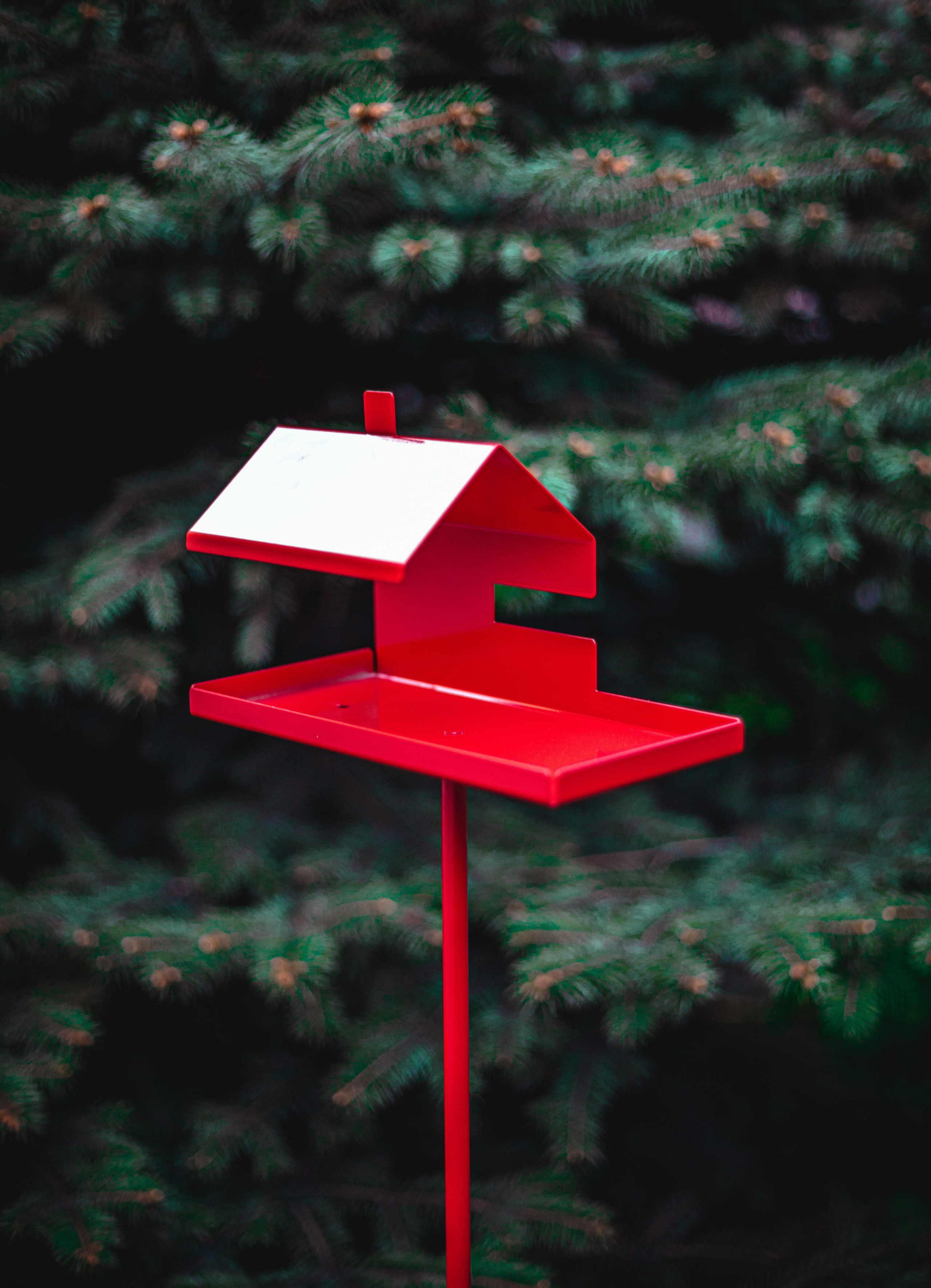 Интерьерные съемки. DIESPERADOSS photo