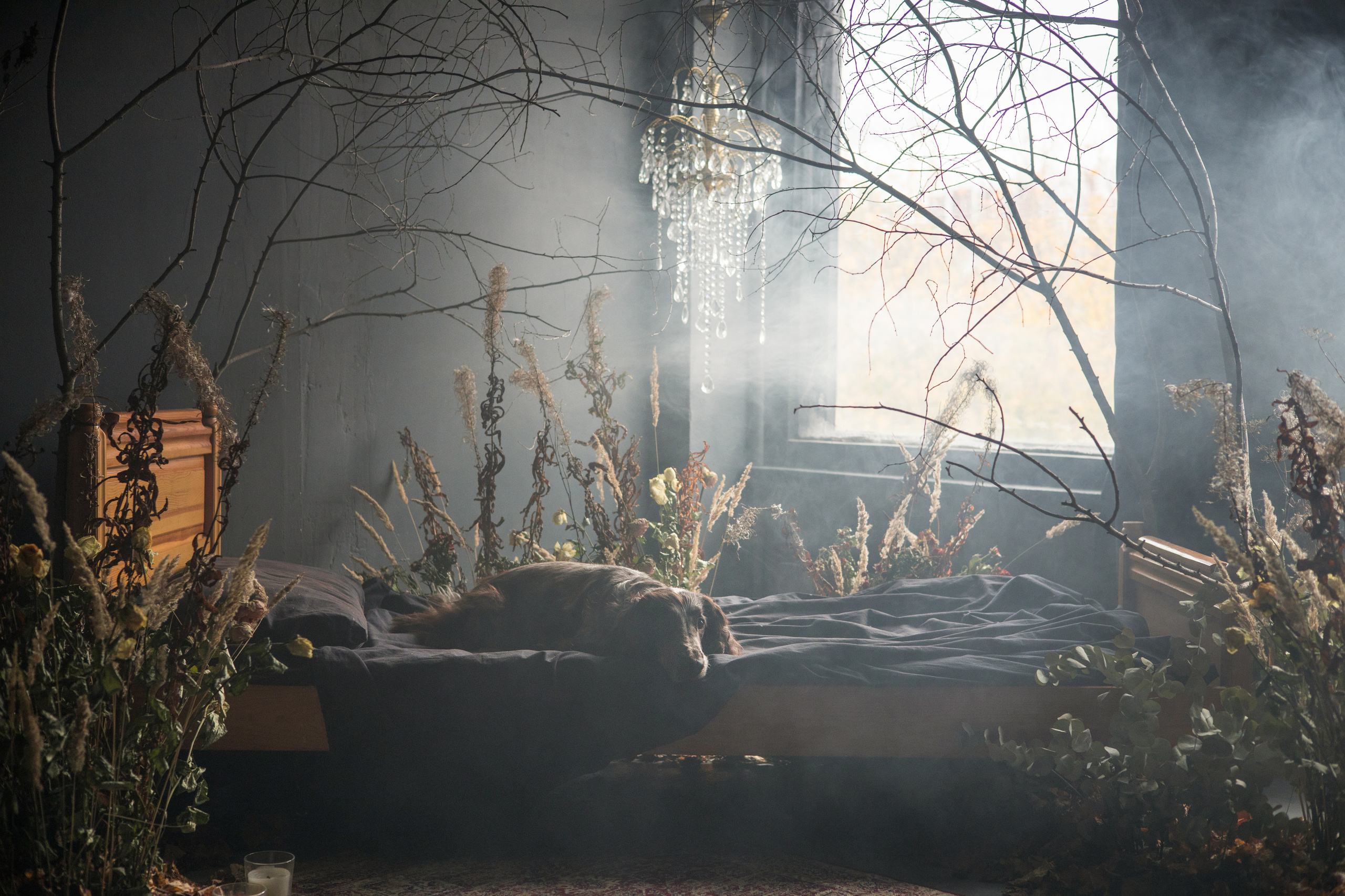 Фотограф-анималист в Екатеринбурге Марина Шишкина