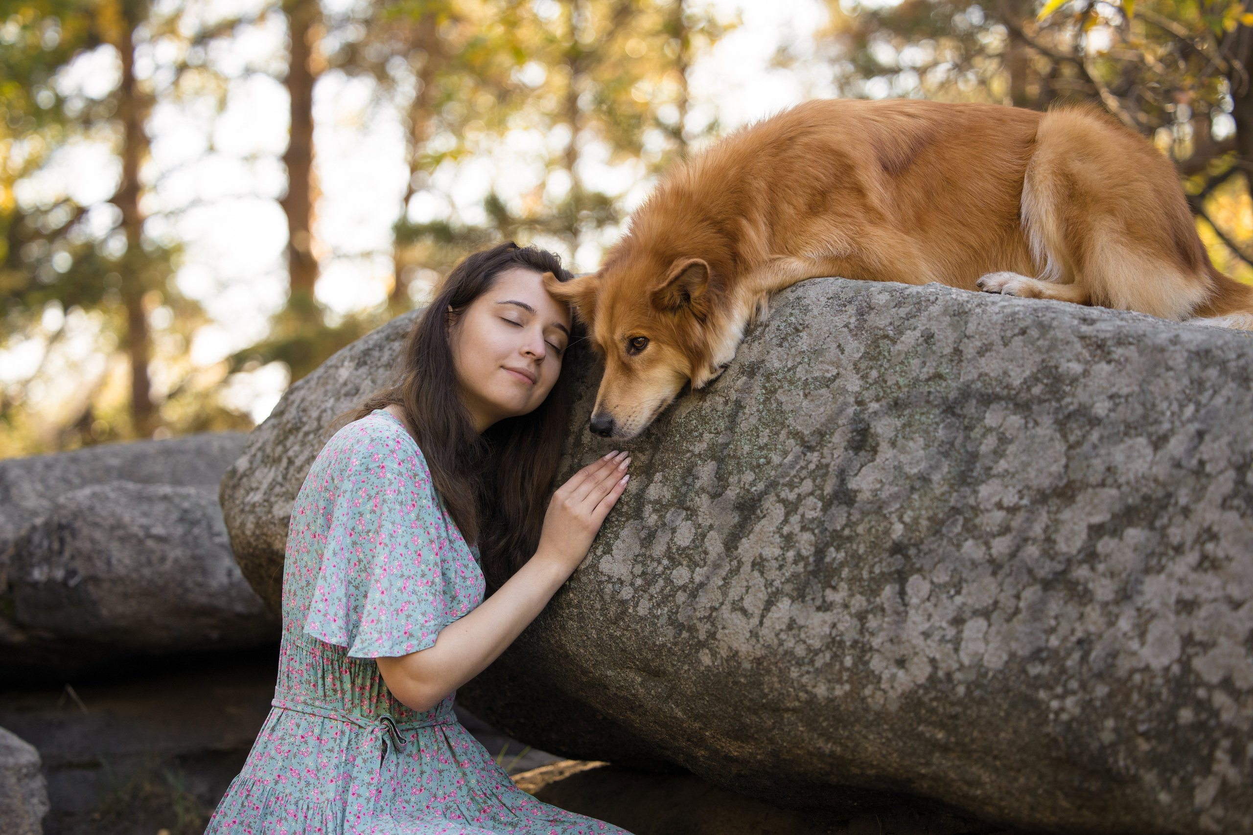 Портфолио. Фотограф-анималист в Екатеринбурге Марина Шишкина