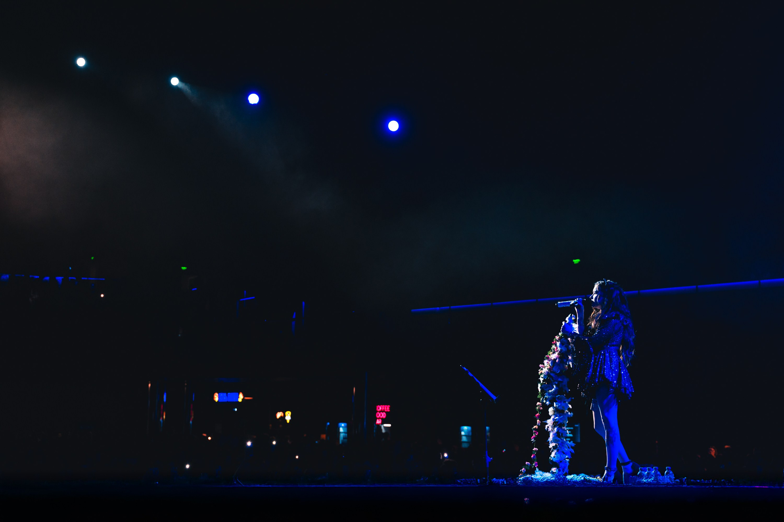 Алена Швец. Магия музыки в кадре: Концертная Фотография