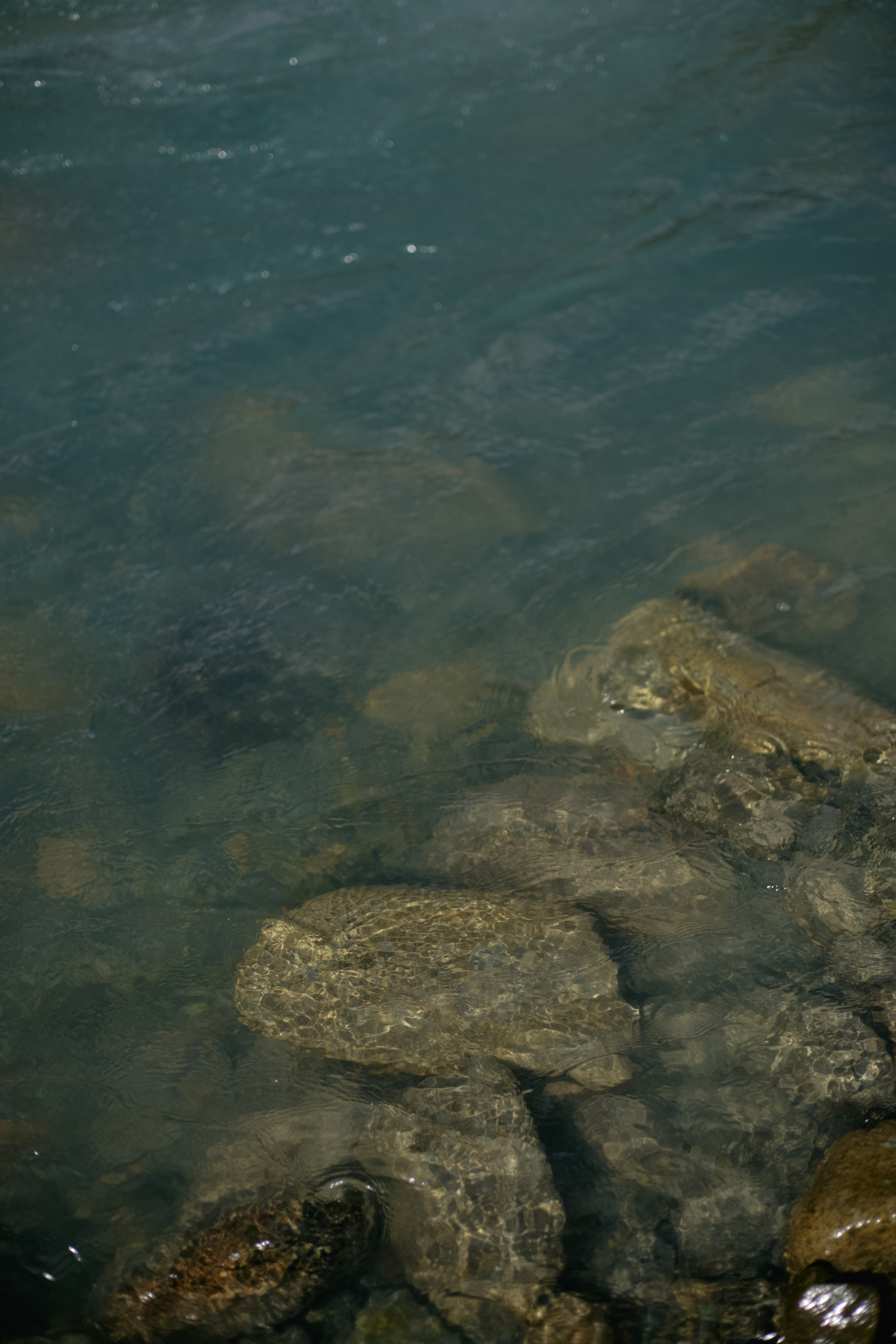 Кыргызтан. Профессиональный Фотограф во Владимире, в Москве и в Суздале — Полина Романычева