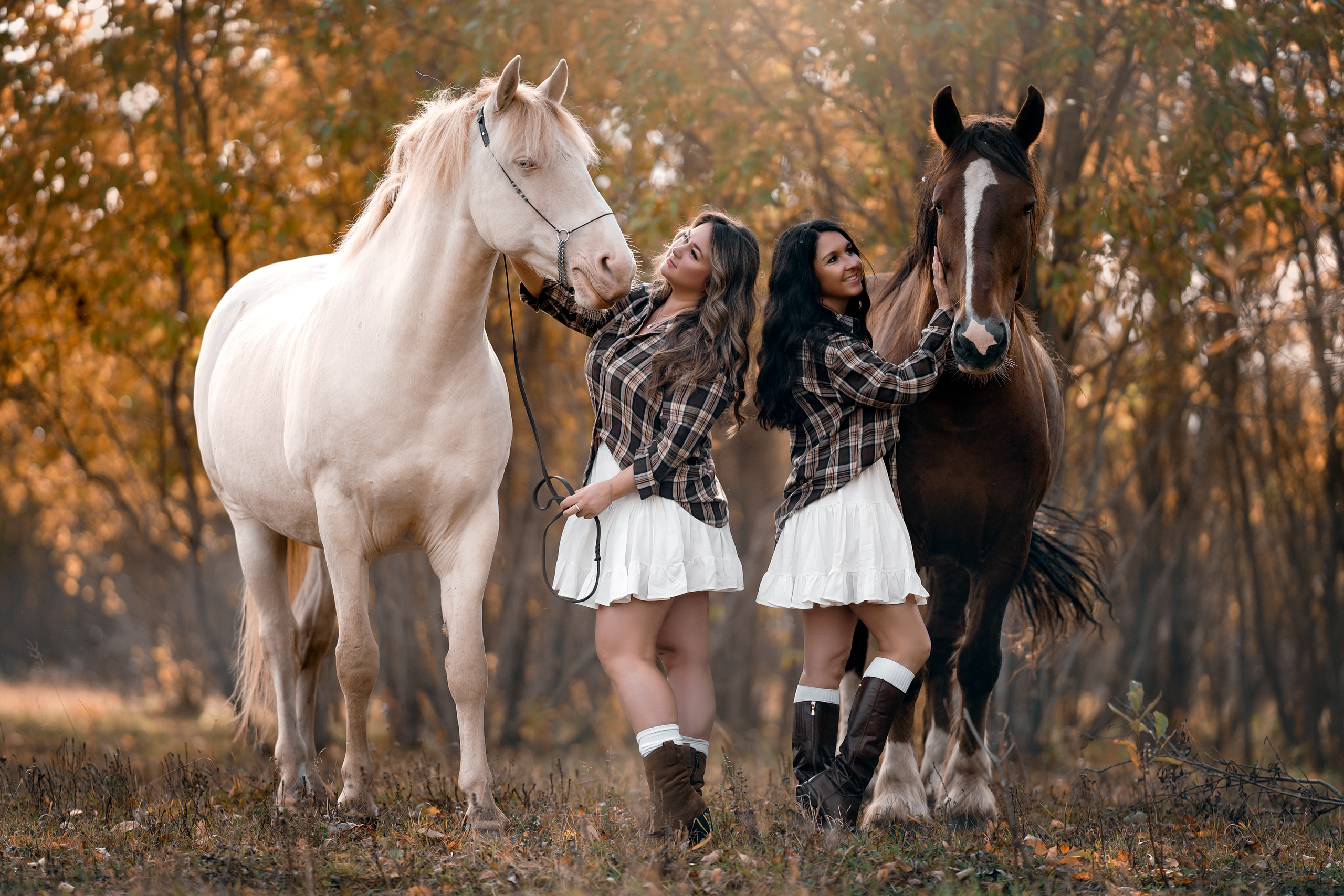 Фотосессии с лошадьми. Фотограф Артемьева Катерина|фотосессии с лошадьми