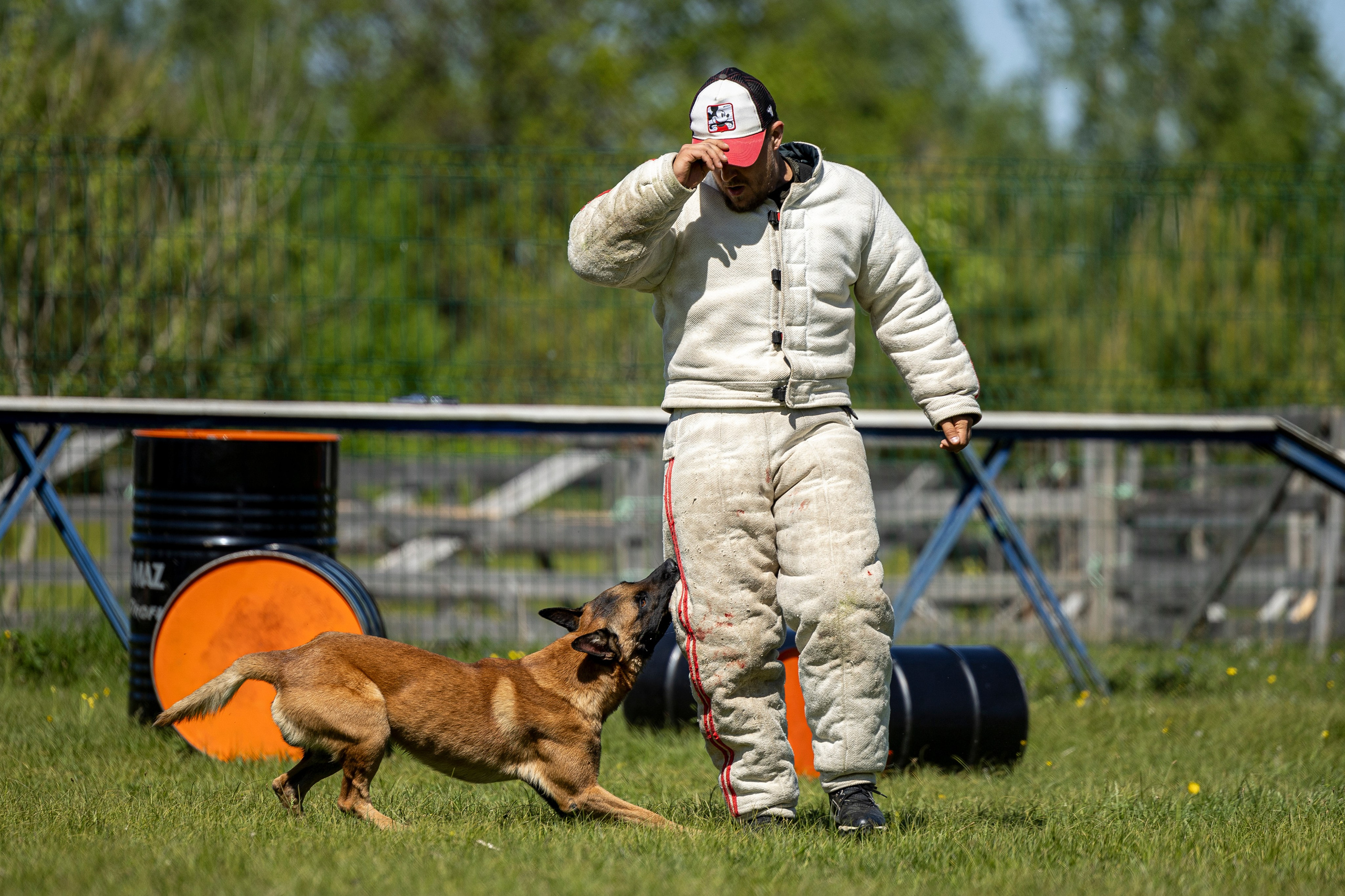 Испытания по мондьорингу в Нижнем Новгороде. Фотограф-анималист Анна Маринич