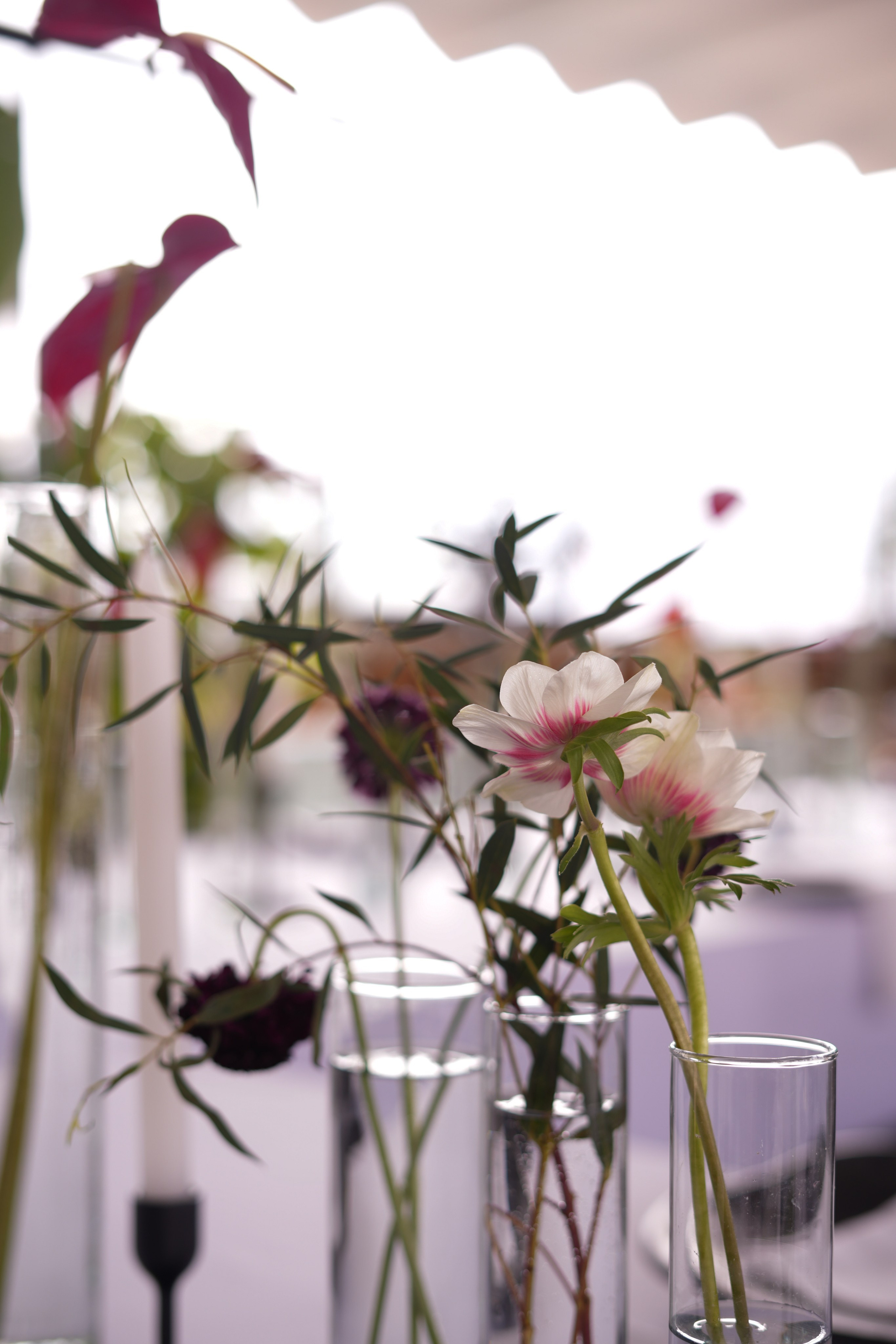 Olivia and Zack / 1 wedding day. Wedding Photographer in Barcelona and Medellin