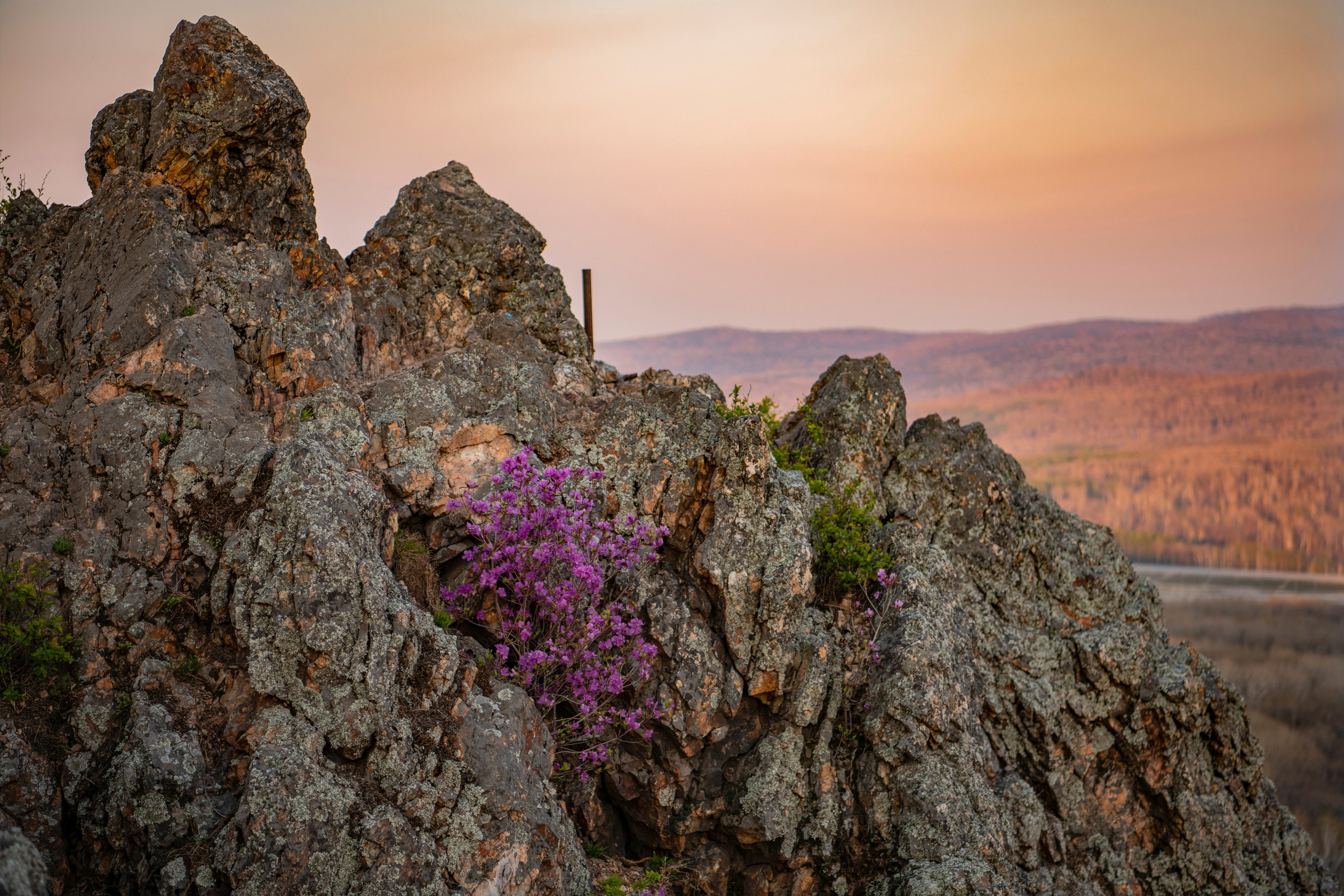 Природа Хабаровского края. Команда фотографов Кристины Ивановой