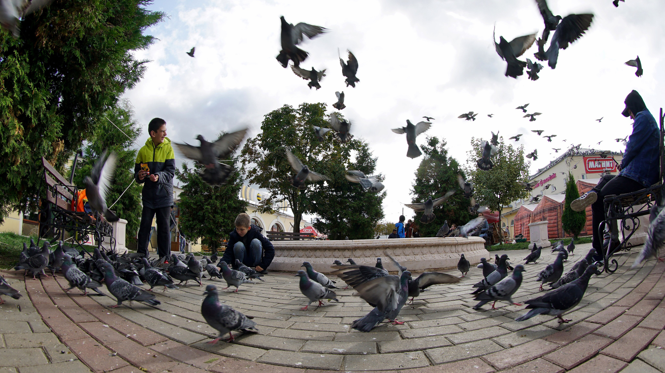 Фото. Ильнур Таминдаров