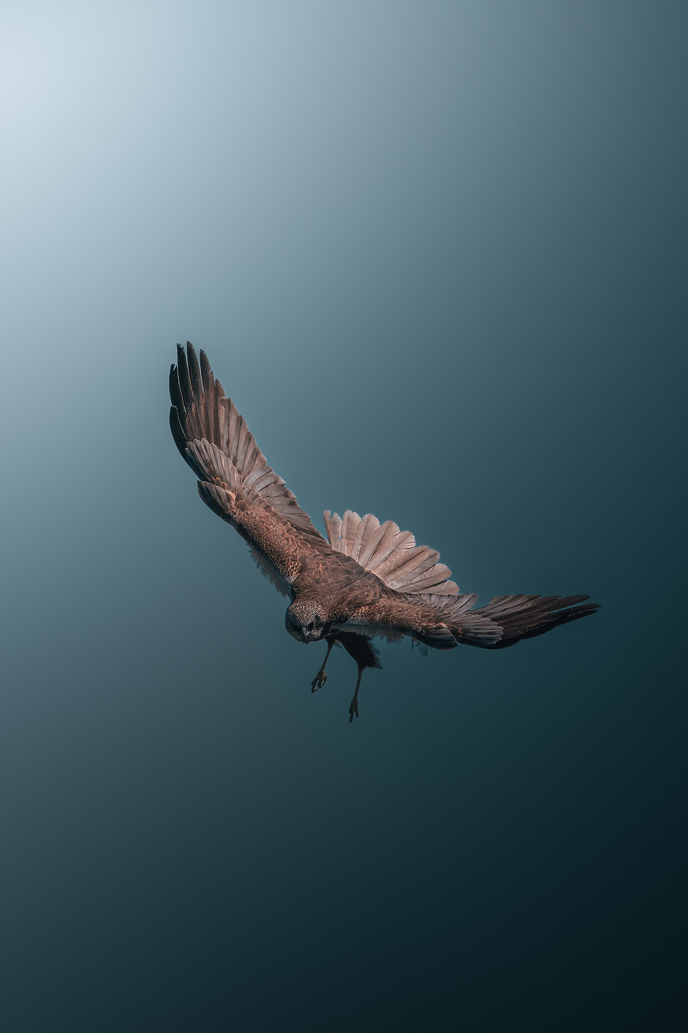 Астраханская область 2025 | Фотограф Дмитрий Купрацевич. Дмитрий Купрацевич профессиональный пейзажный и travel-фотограф