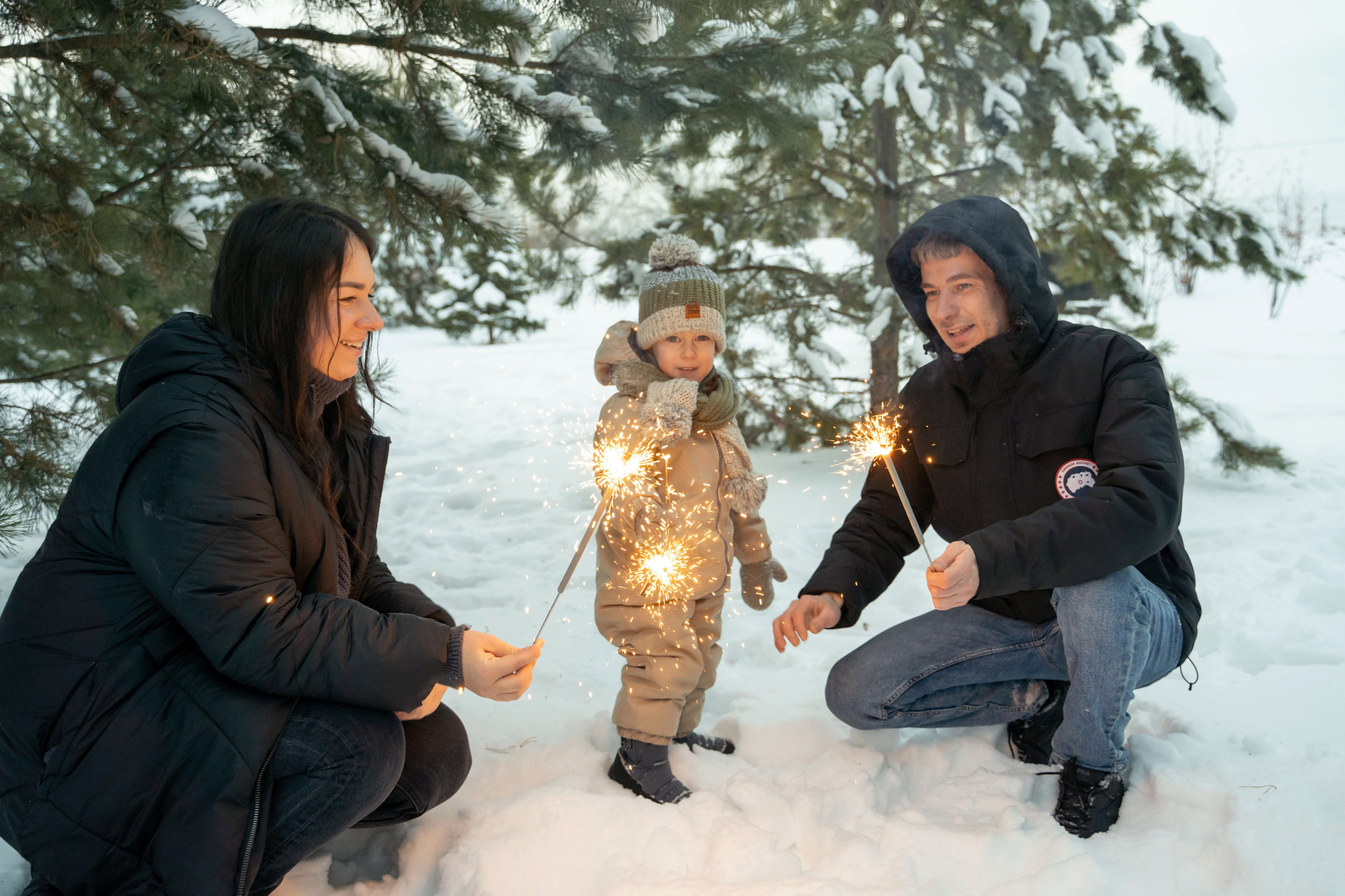 Зимняя прогулка. Главная