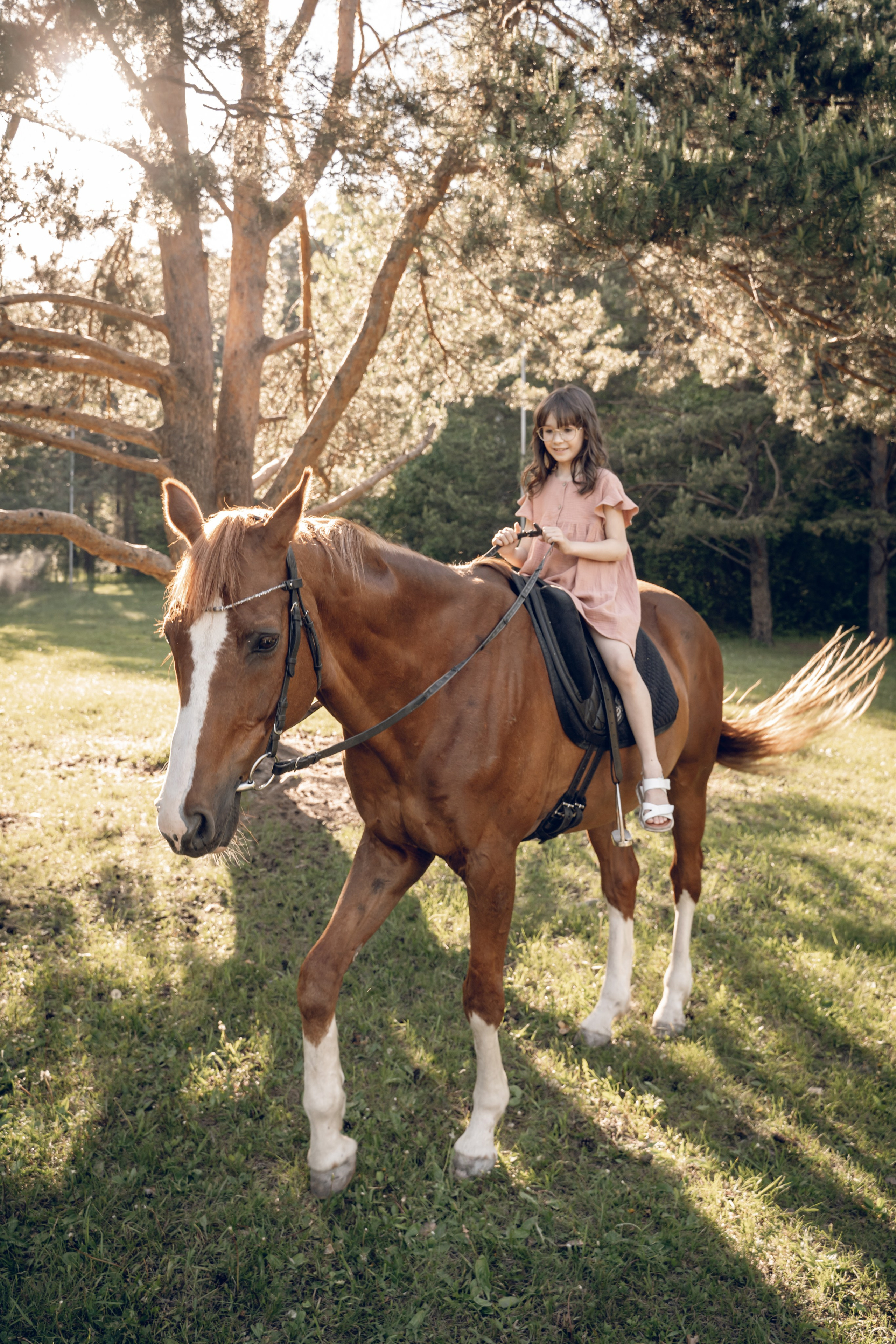Семейная история с лошадьми. Главная