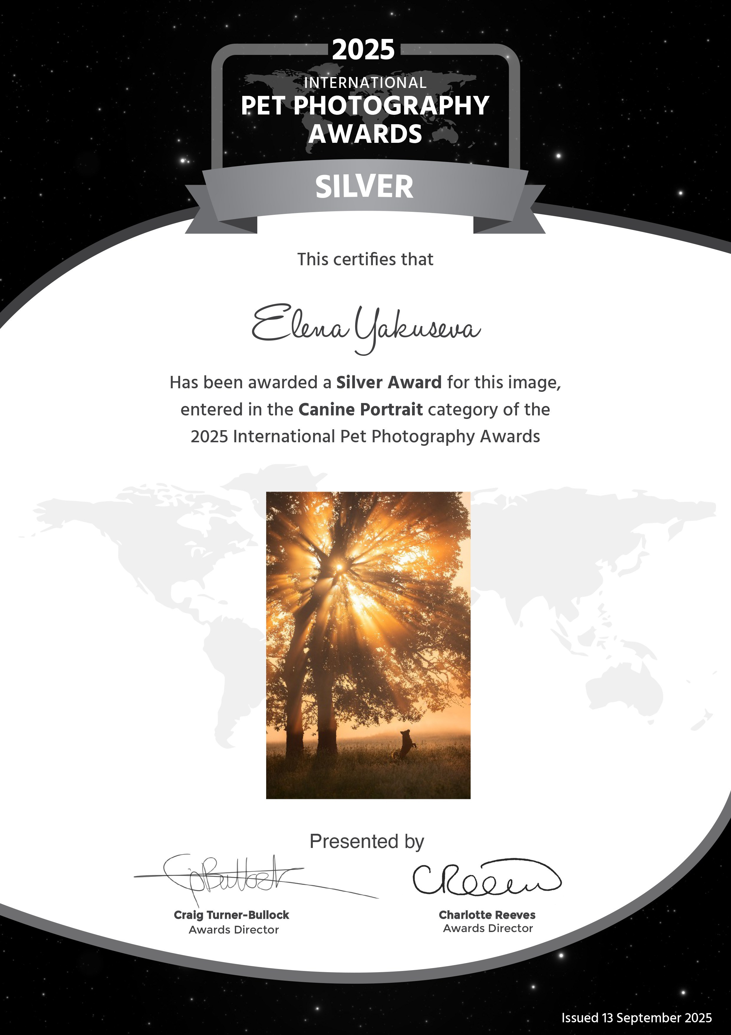 Дипломы & AWARDS. -