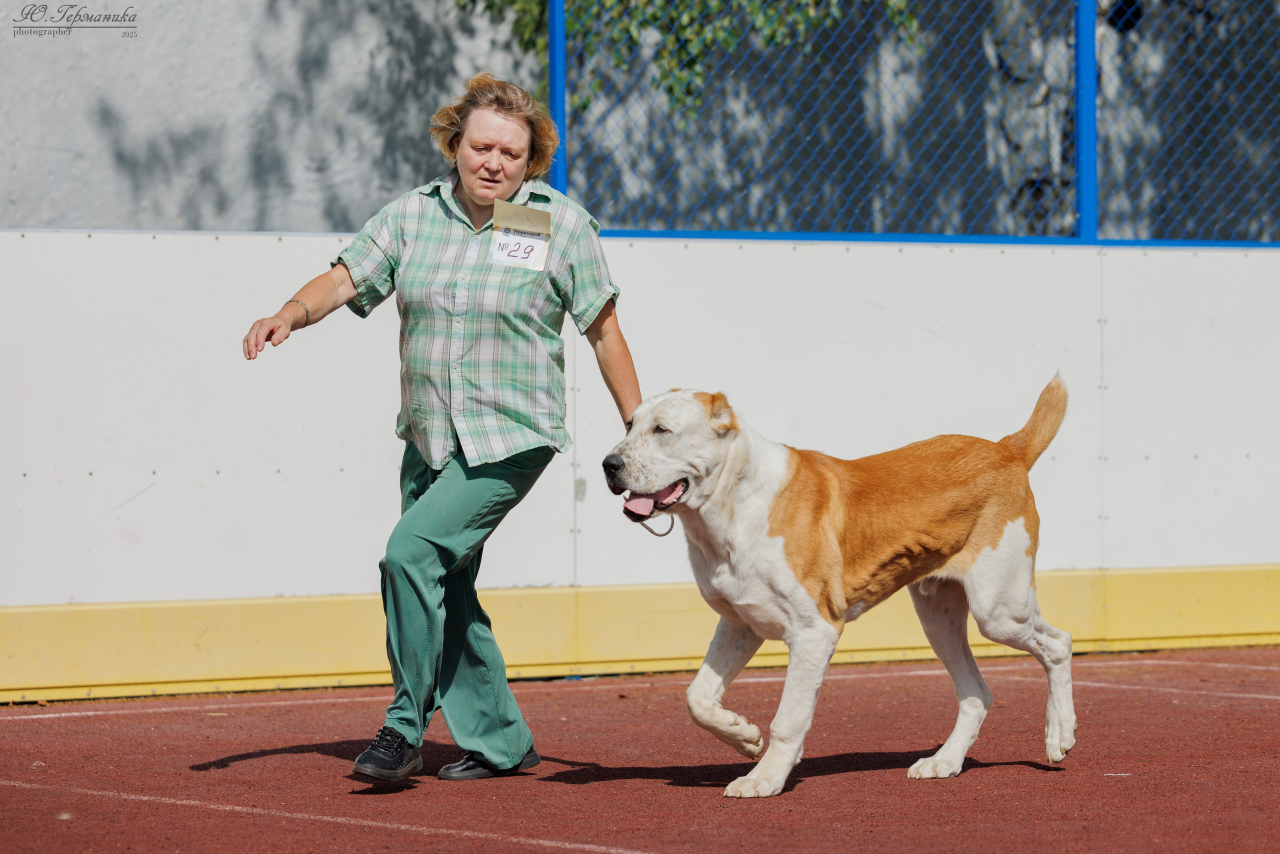 Коломна 30.08.2025. Фотограф-анималист Юлия Германика