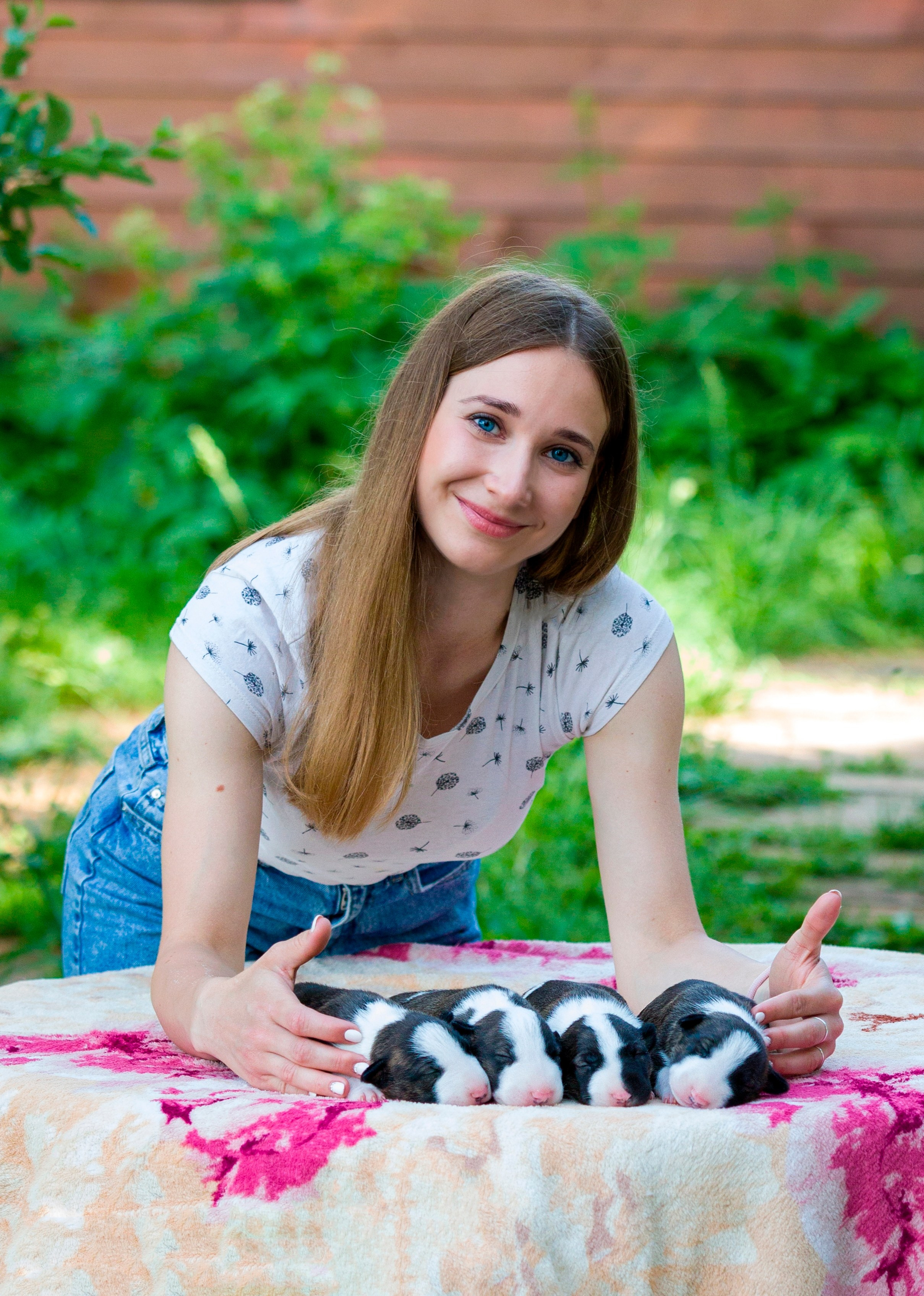 Стандартный бультерьер. Фотограф — анималист Татьяна Ли