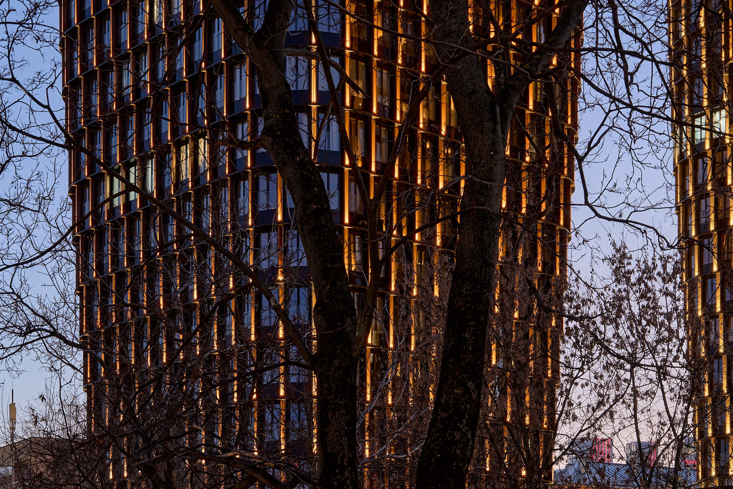 Архитектурная фотосъемка ЖК Sky View в синий час: шикарная подсветка ЖК через ветки деревьев