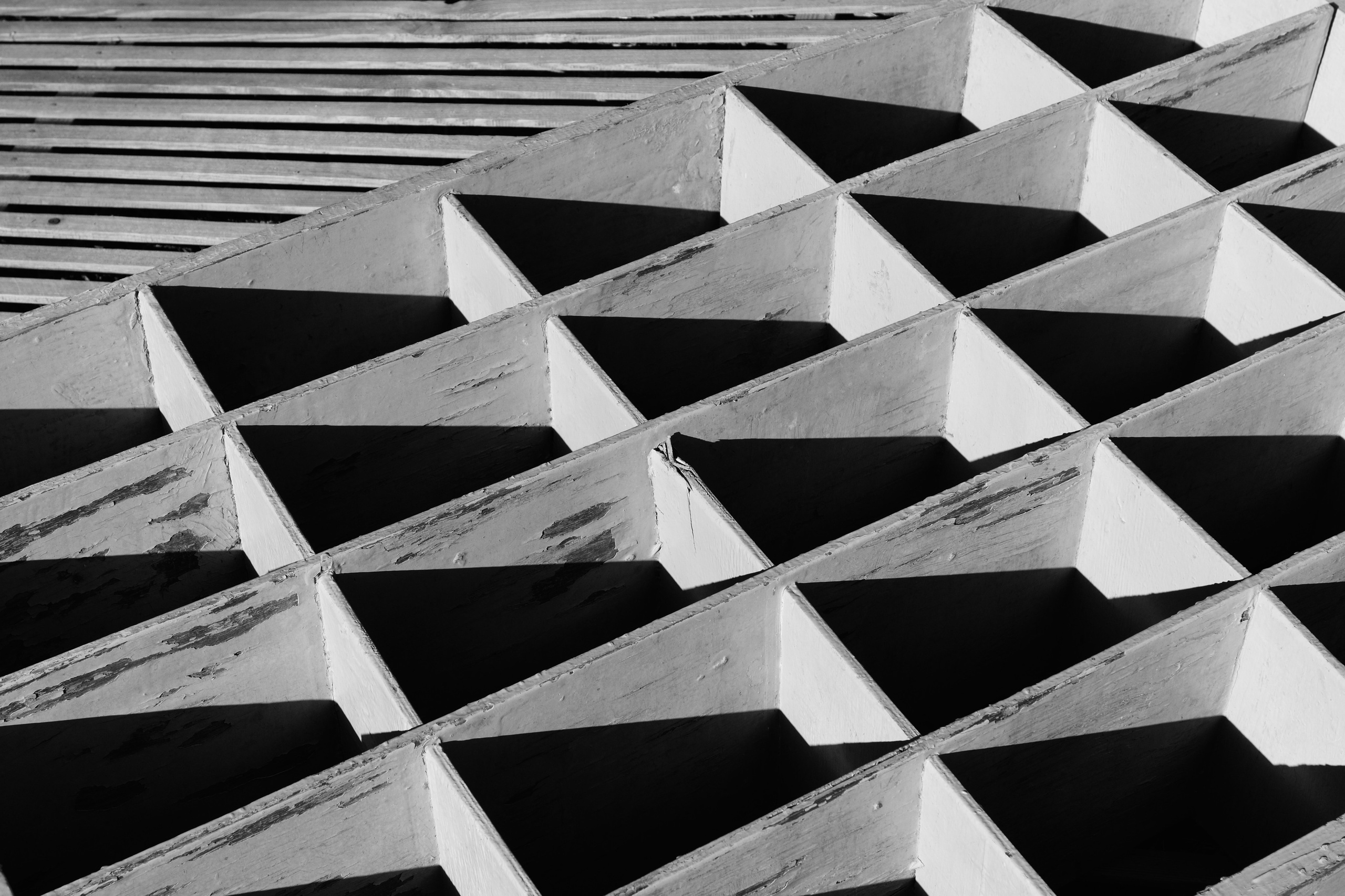 Одиночные. Фотограф Евгений Андреев