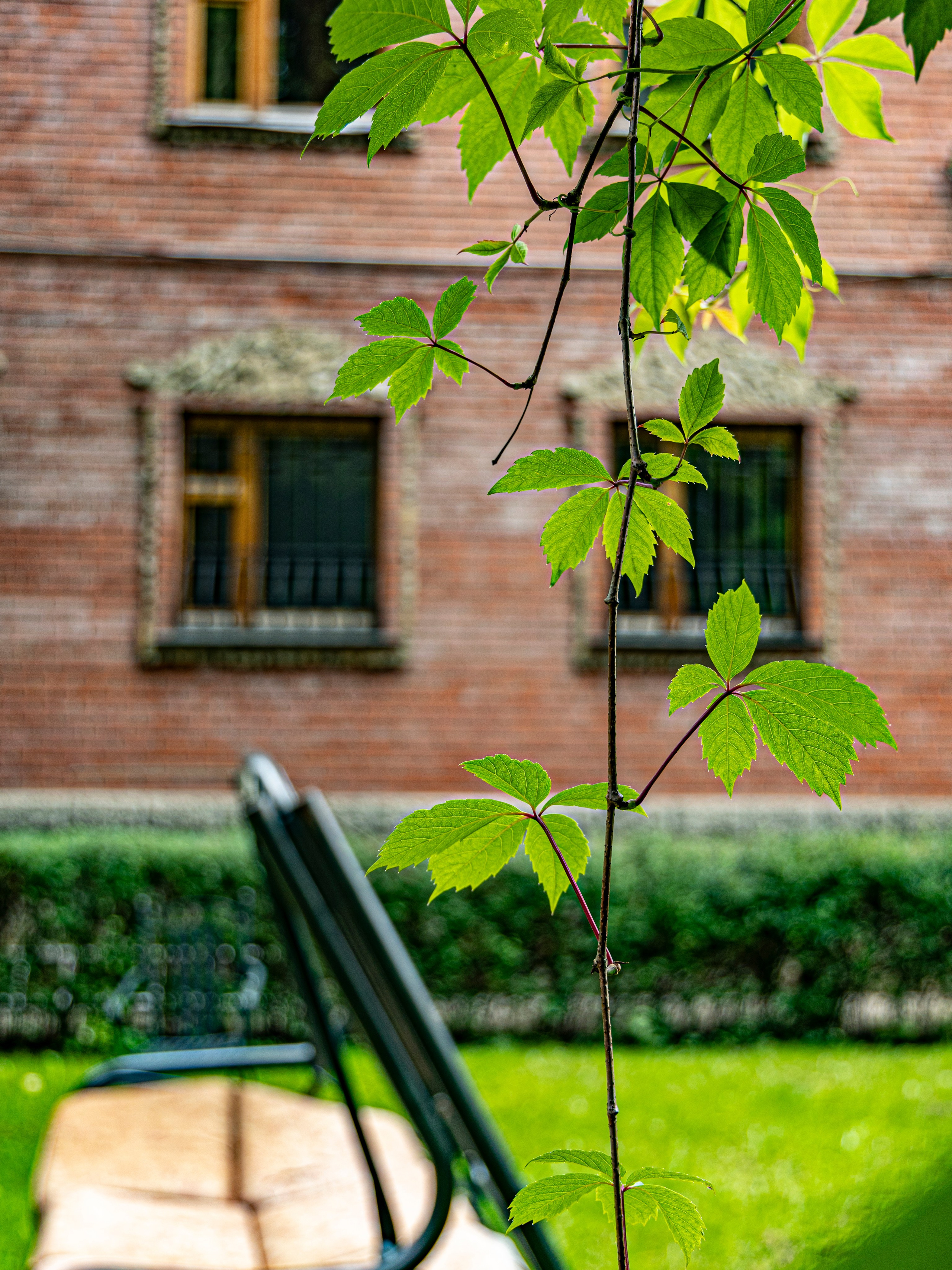 Фотограф Татьяна Марсуверских г. Жуковский, Москва и Мо. Репортажные съёмки, фотосессии. Детский, семейный фотограф. Фотограф для маркетплейсов, фотоуслуги в Жуковском Татьяна Марсуверских