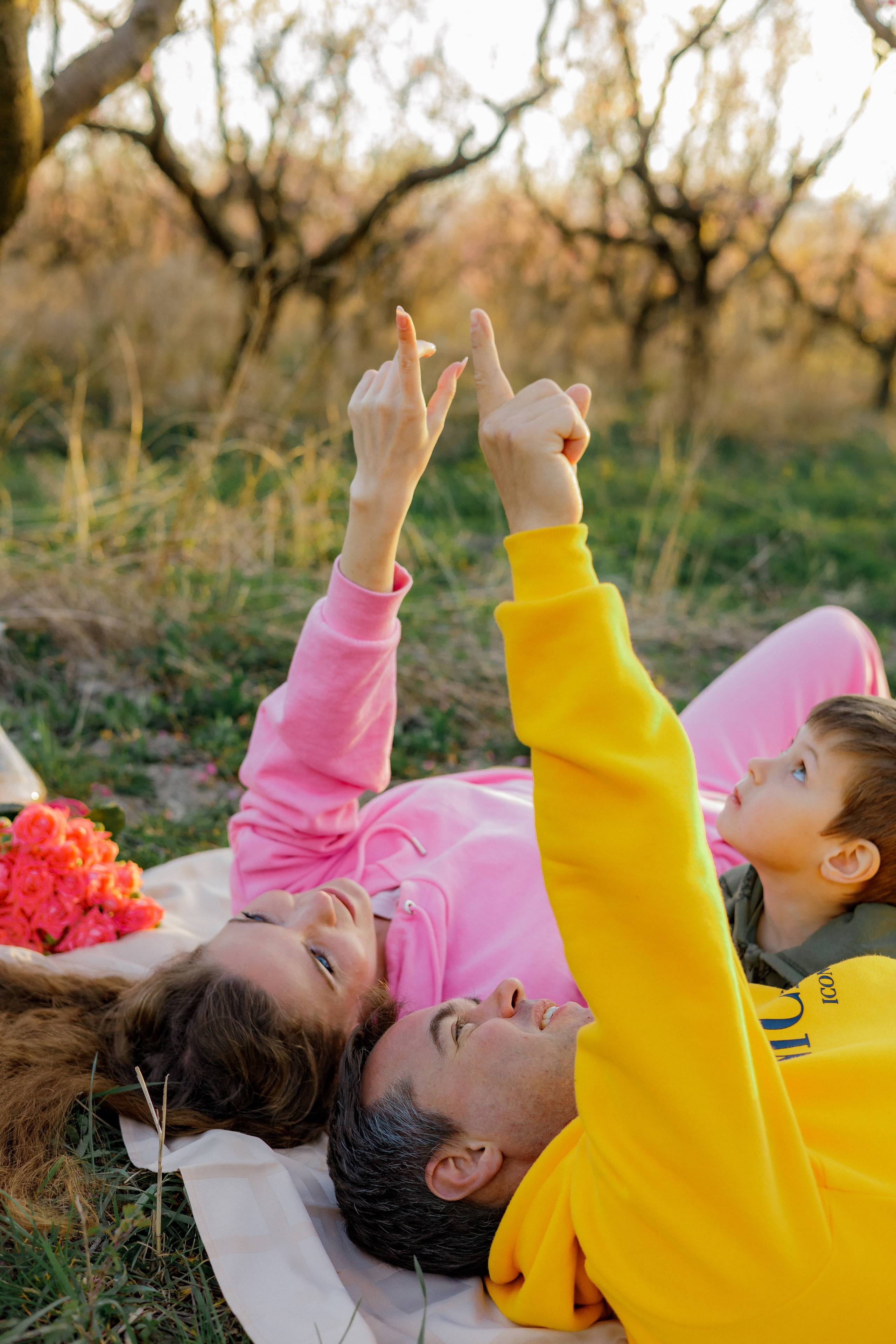 Закат в персиковом саду