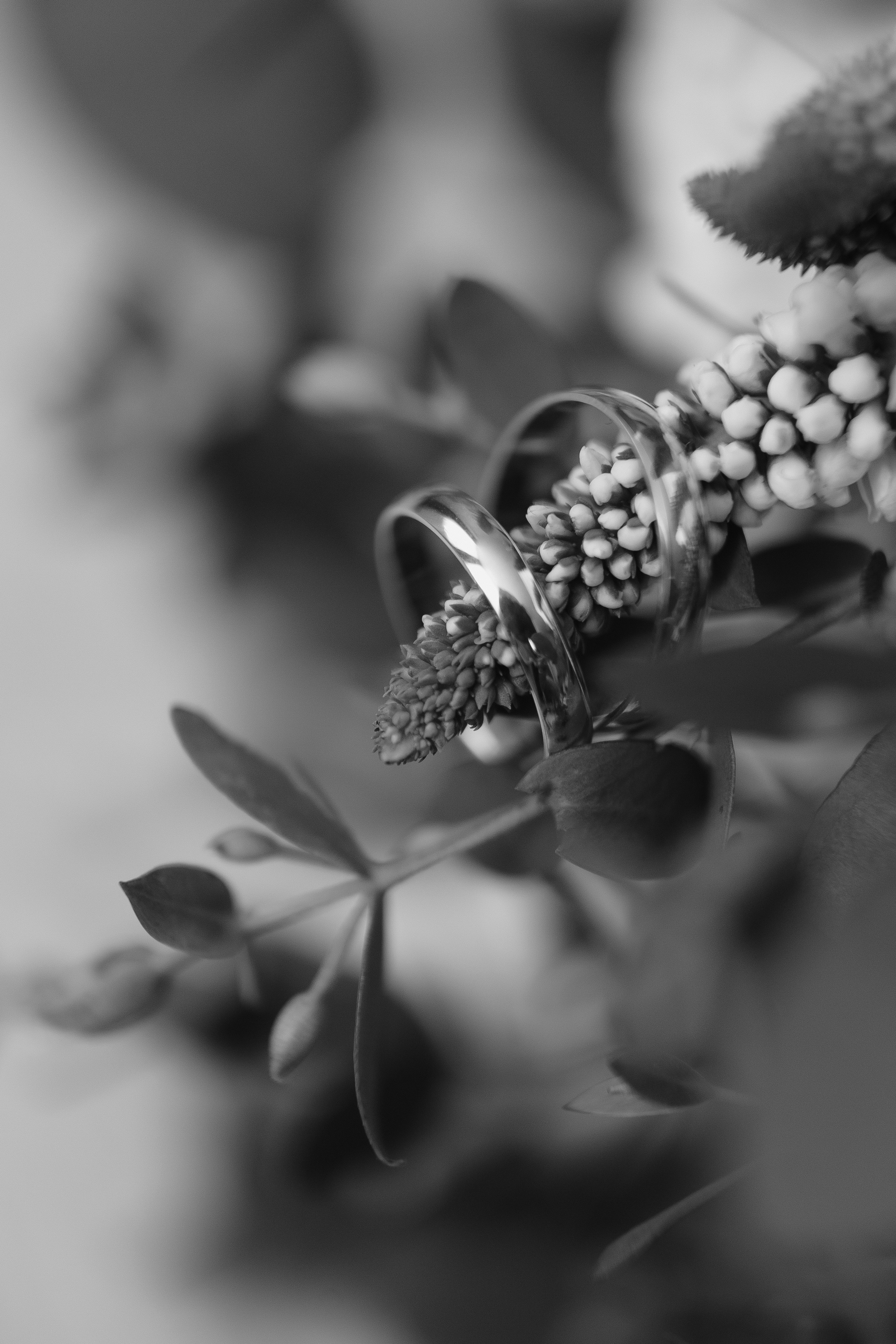 Свадьба Вадима и Дарьи. Фотограф Кольчугино/Владимир/Москва Елизавета Иода