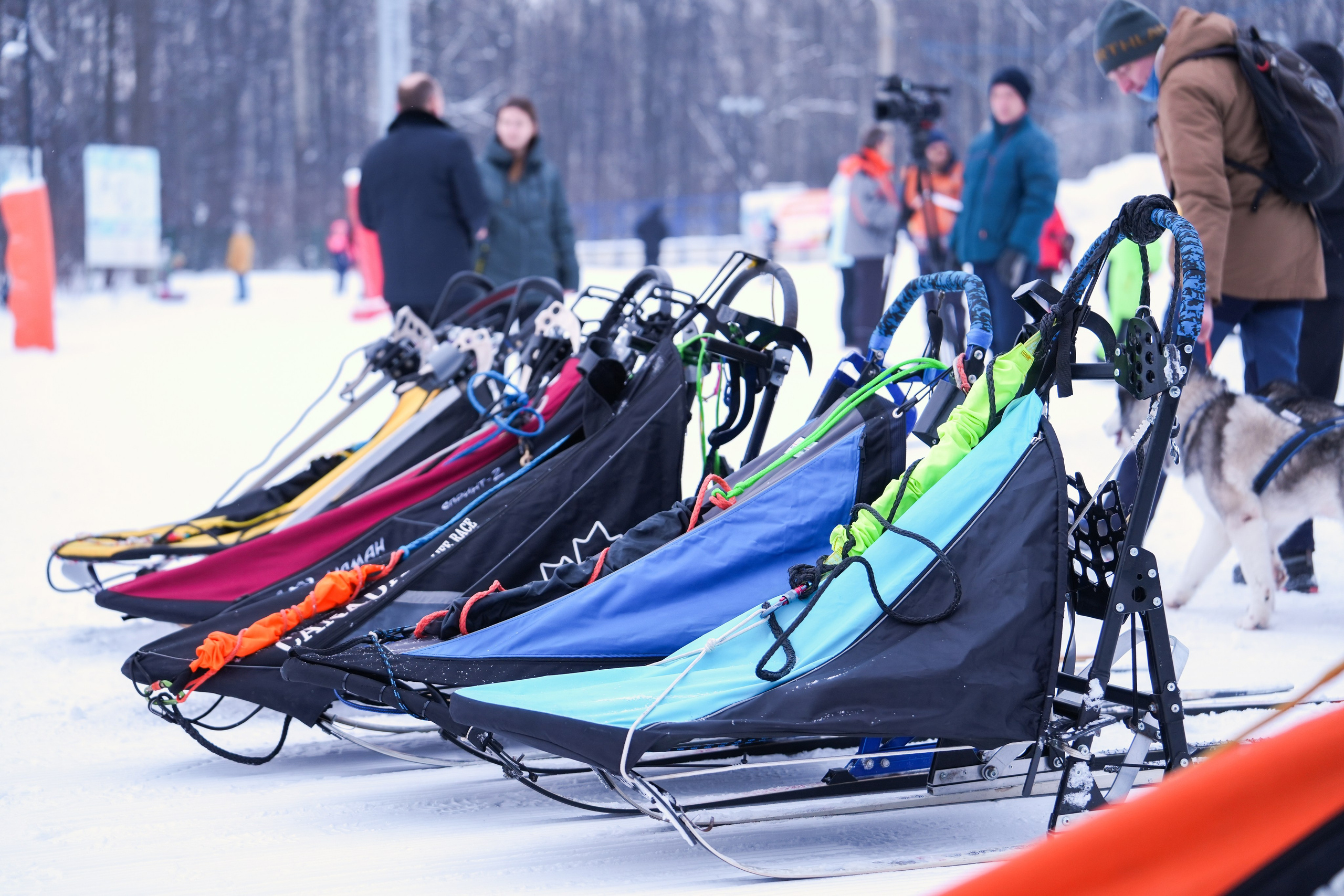 Рождественские гонки на собаках. Т/б «Чайка». Семейный фотограф Владимир Просвиркин. г. Самара