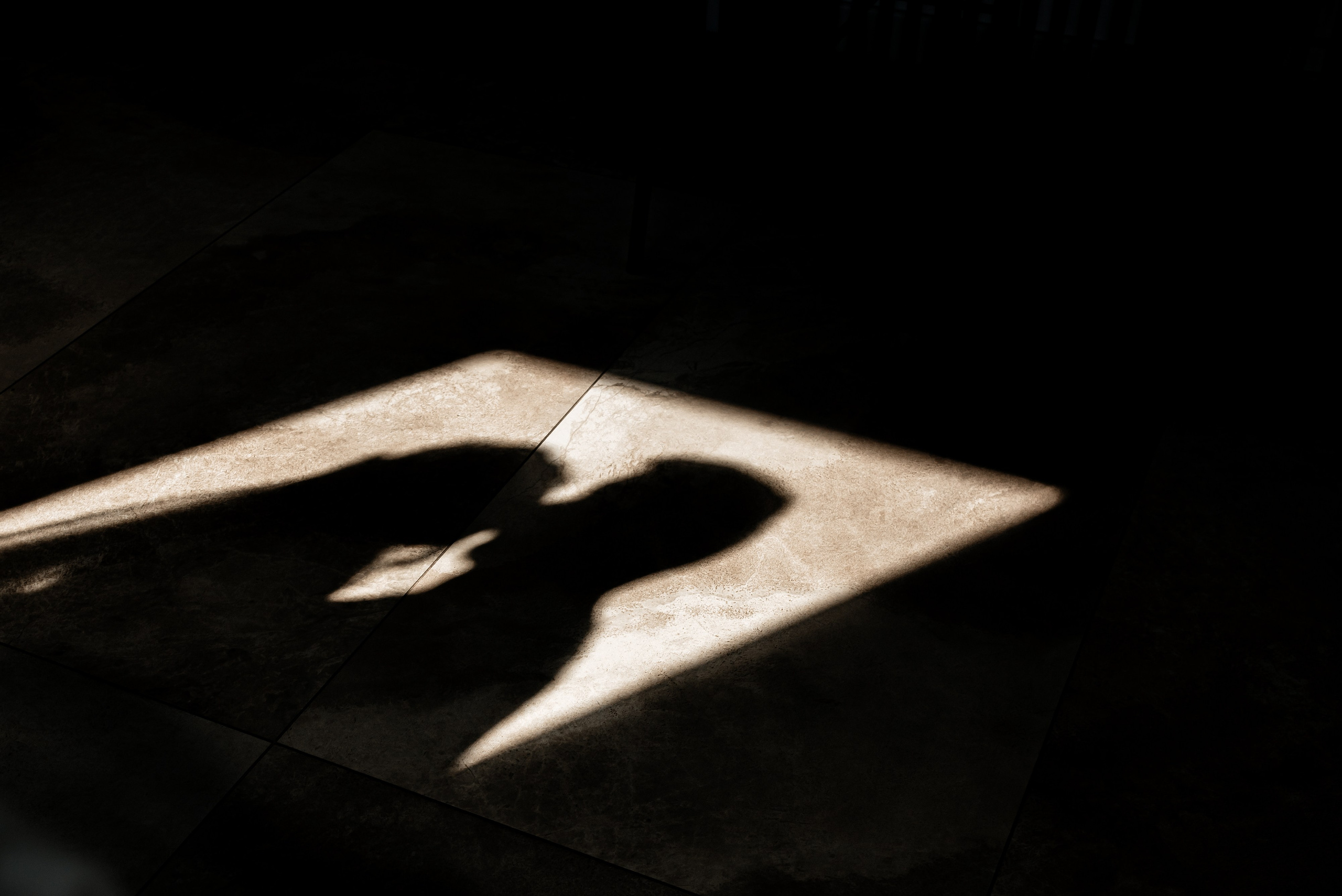 Иван и Вероника. Свадебная и семейная фото и видеосъёмка. Брянск