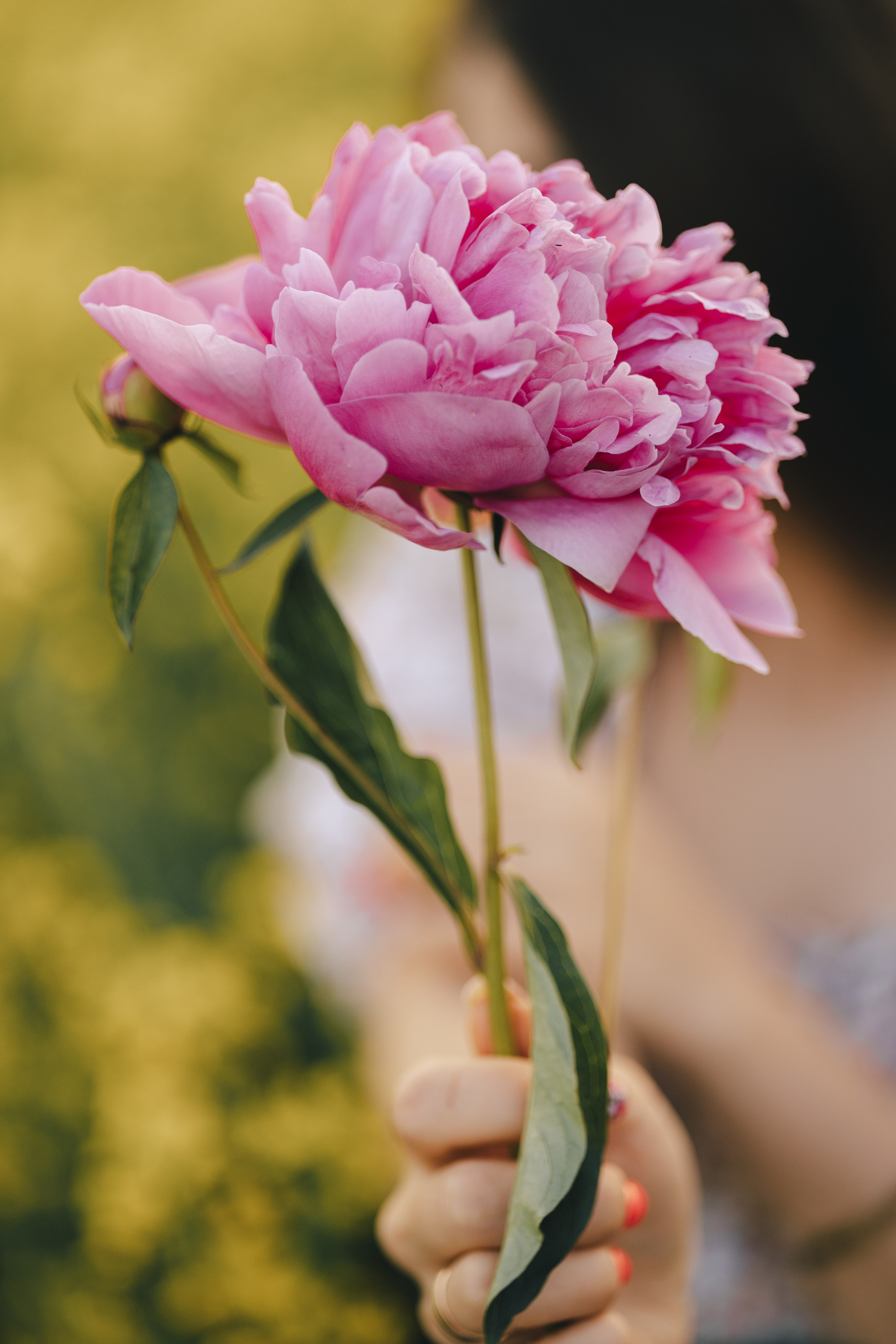 Настя. Фотограф Таганрог Любимая Надя