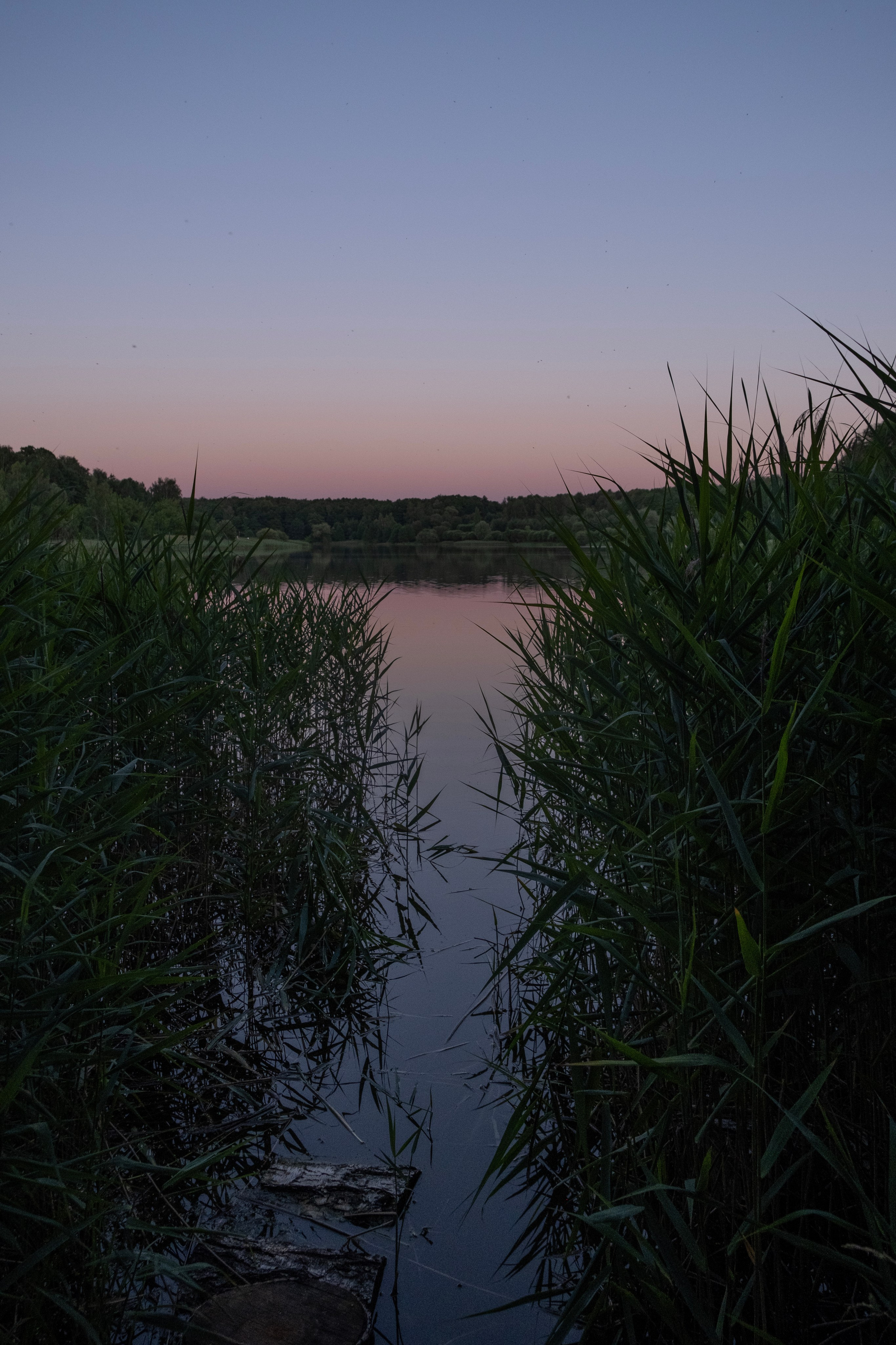 Художественные фото. Креативный фотограф в Москве Арапова Виталия