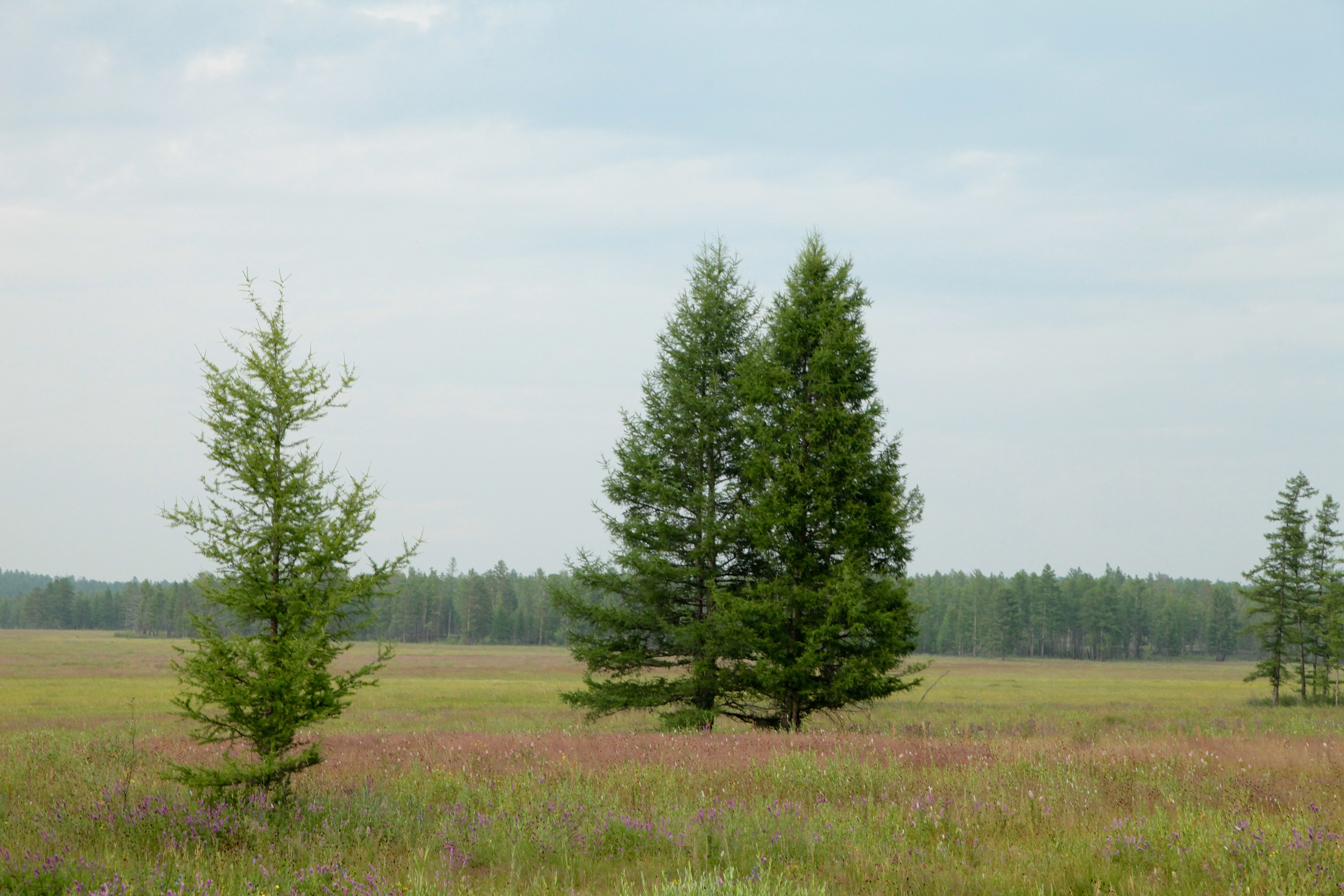 Фото Природы Забайкалья. Студия Максима Белослюдцева