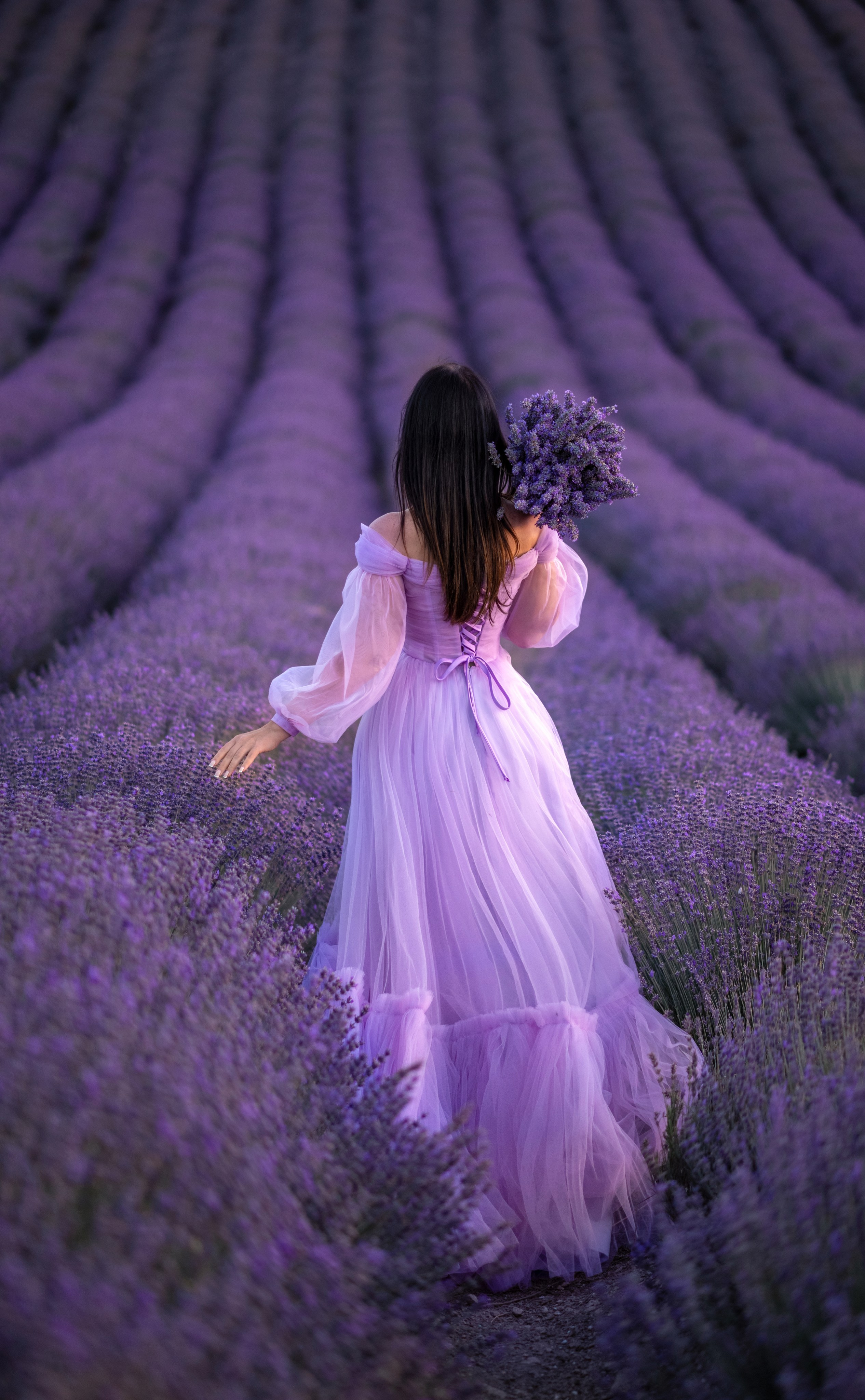 Лаванда. Фотограф в Крыму Дарья Колесник