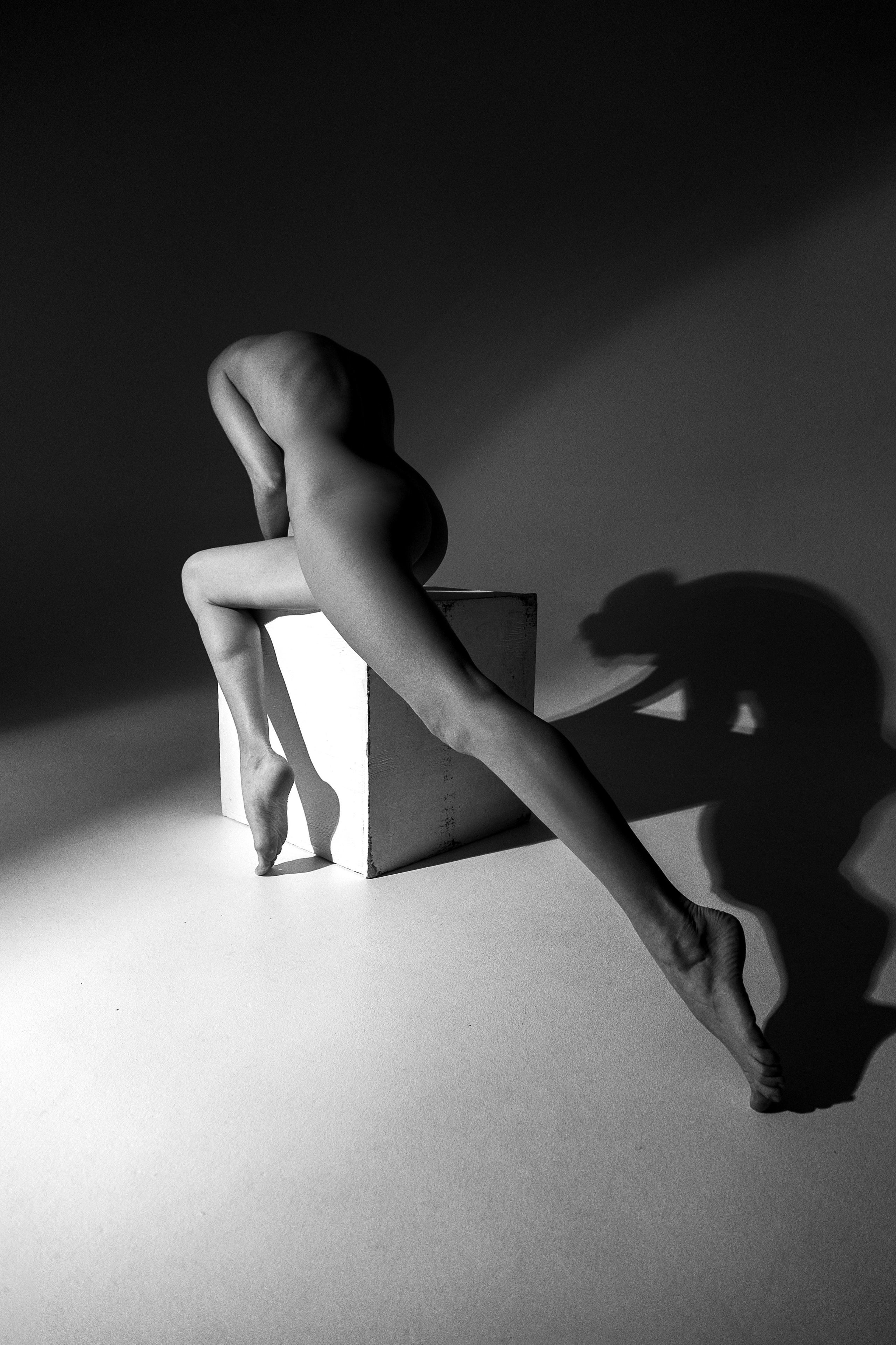 Арт-ню. Алена Борисова фотограф в Ставрополе